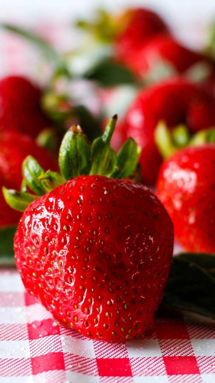 Red Strawberries on White and Red Checkered Textile. Wallpaper in 720x1280 Resolution