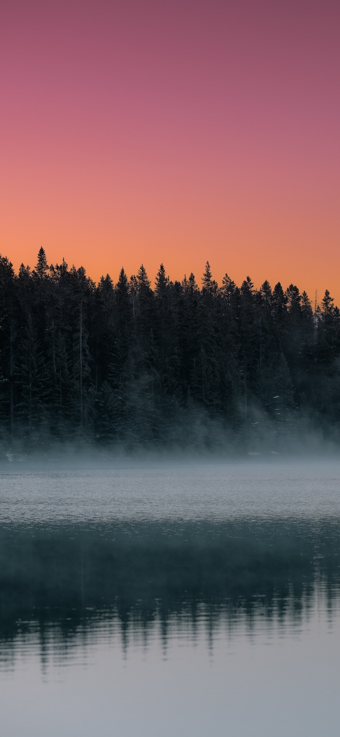 Matin, Ciel, Brouillard, Nature, Réflexion. Wallpaper in 1125x2436 Resolution