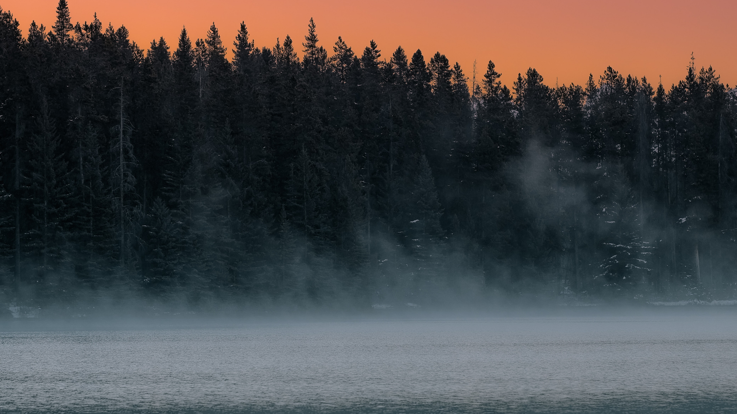 Matin, Ciel, Brouillard, Nature, Réflexion. Wallpaper in 2560x1440 Resolution