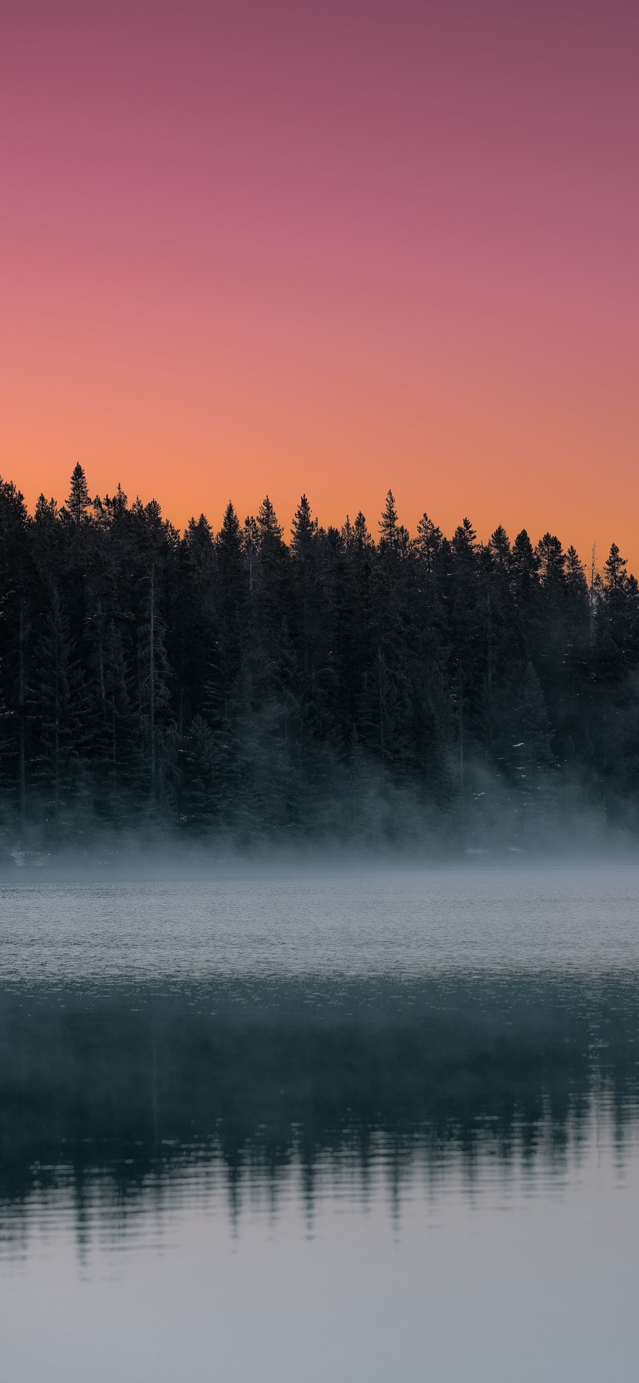 Morgen, Himmel, Nebel, Natur, Reflexion. Wallpaper in 1242x2688 Resolution