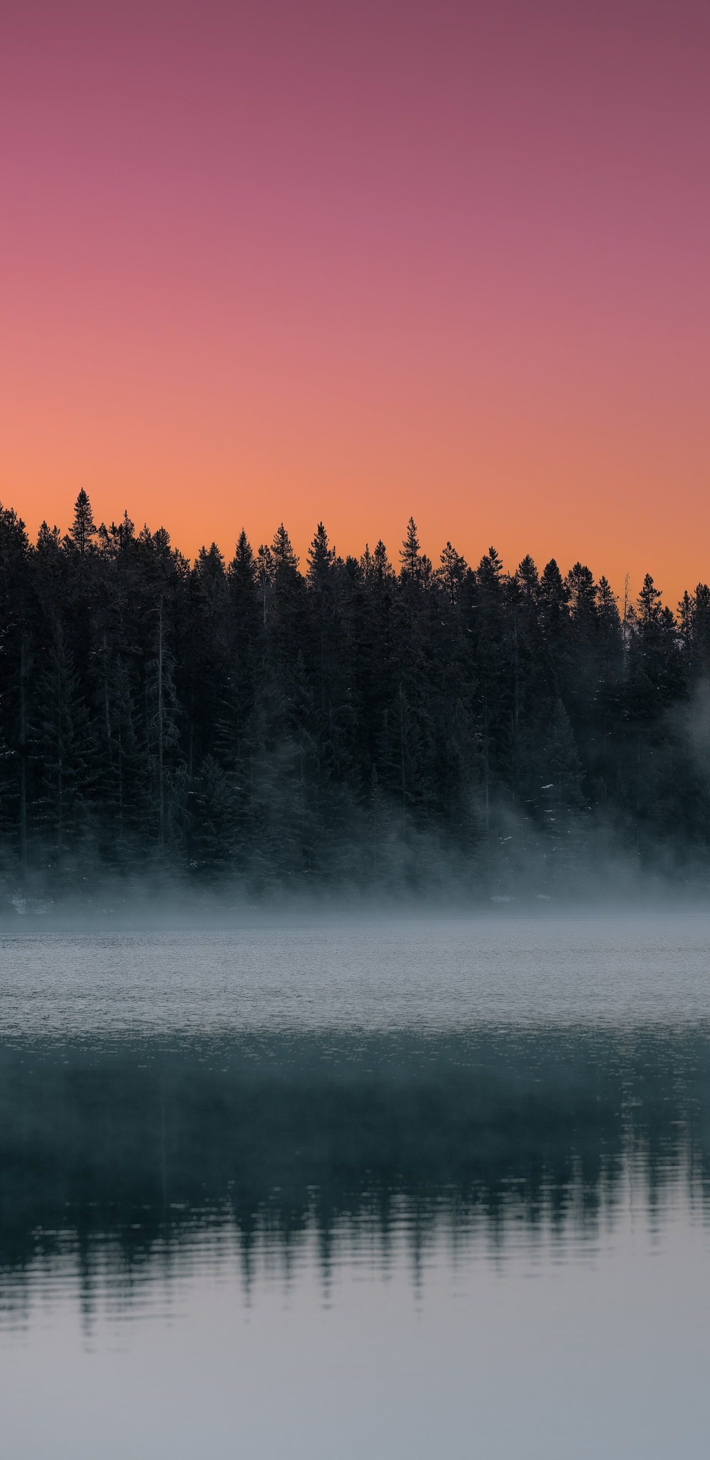 Morgen, Himmel, Nebel, Natur, Reflexion. Wallpaper in 1440x2960 Resolution