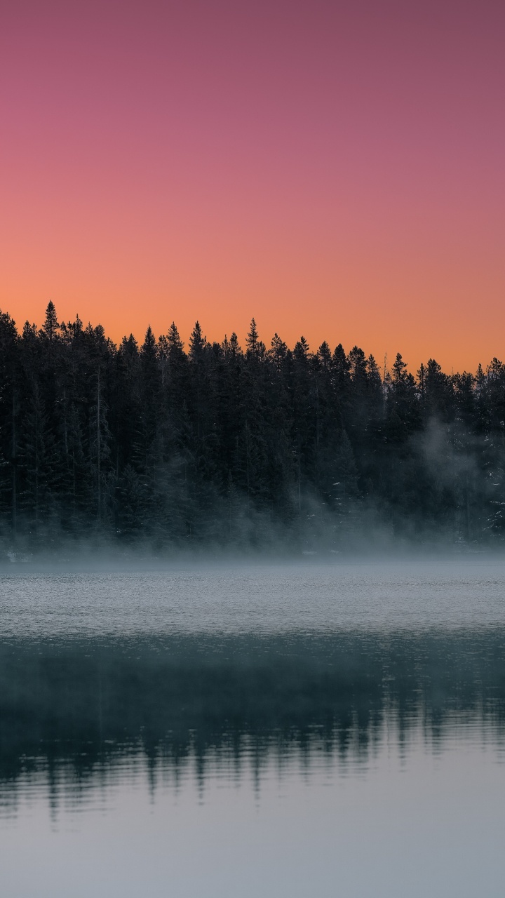 Morning, Sky, Fog, Mist, Nature. Wallpaper in 720x1280 Resolution