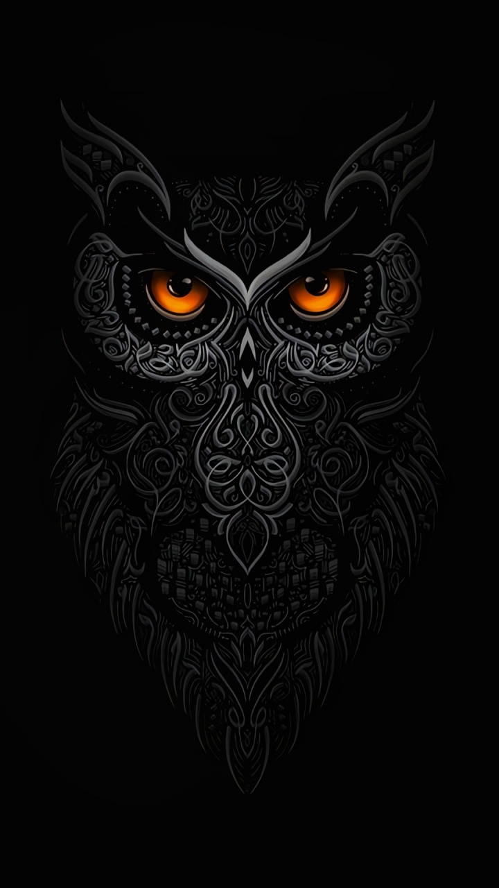 Eule, Owls, Birds, Kopf, Auge. Wallpaper in 720x1280 Resolution