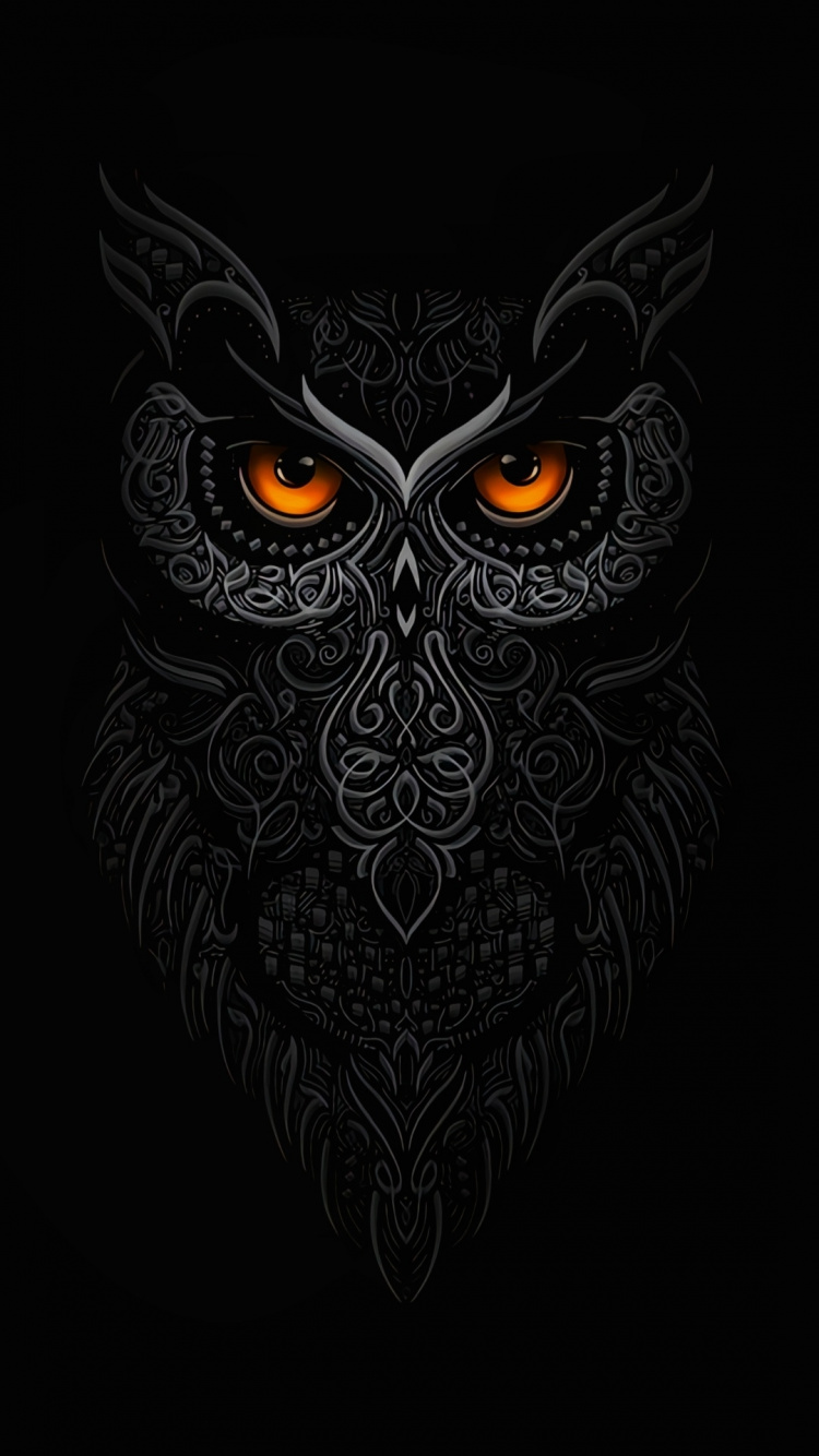 Owl, Owls, Birds, Head, Eye. Wallpaper in 750x1334 Resolution