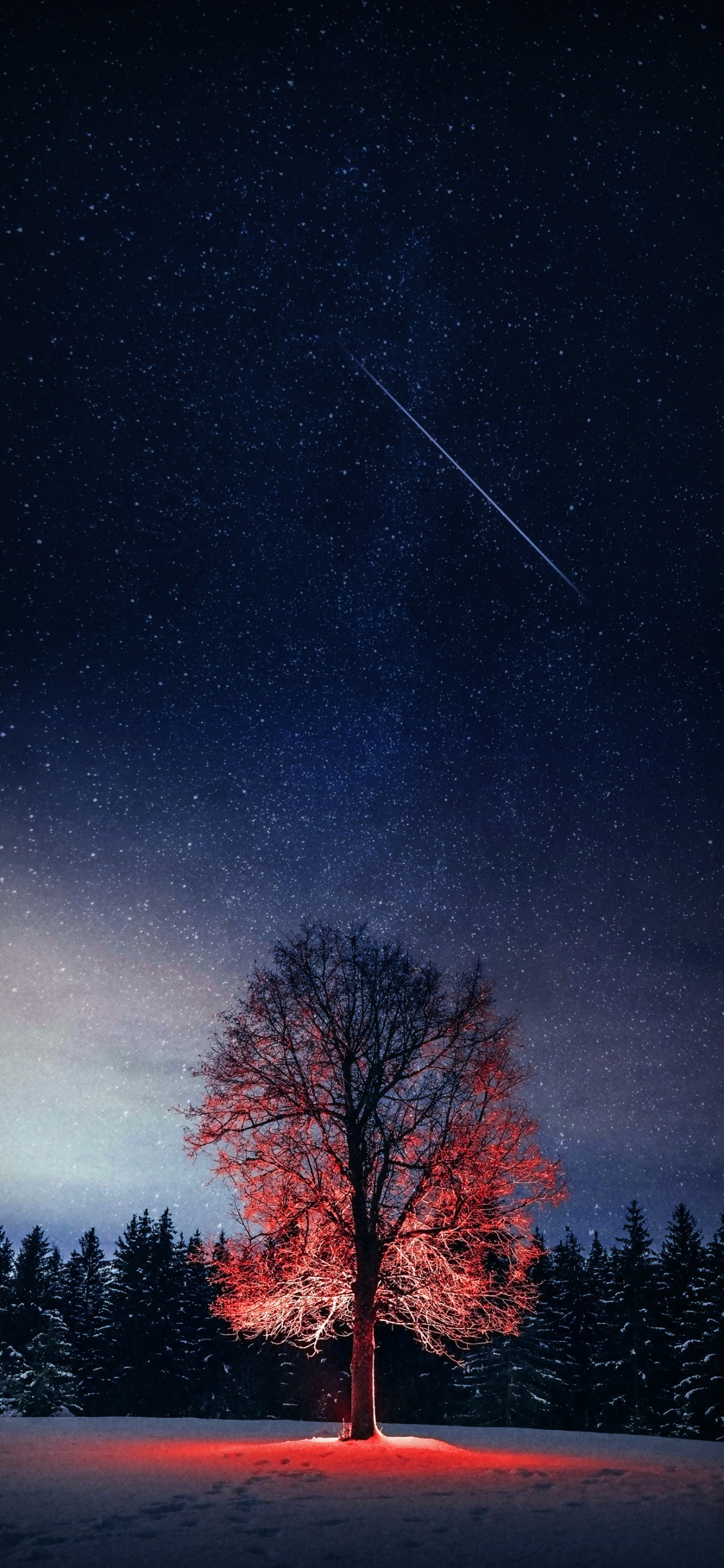 The Starry Night, Atmosphere, Natural Landscape, Natural Environment, Tree. Wallpaper in 1125x2436 Resolution