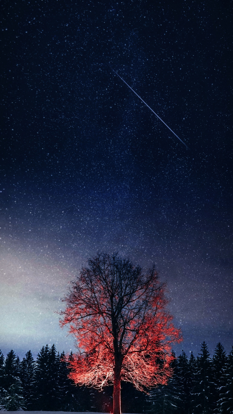 The Starry Night, Atmosphere, Natural Landscape, Natural Environment, Tree. Wallpaper in 750x1334 Resolution
