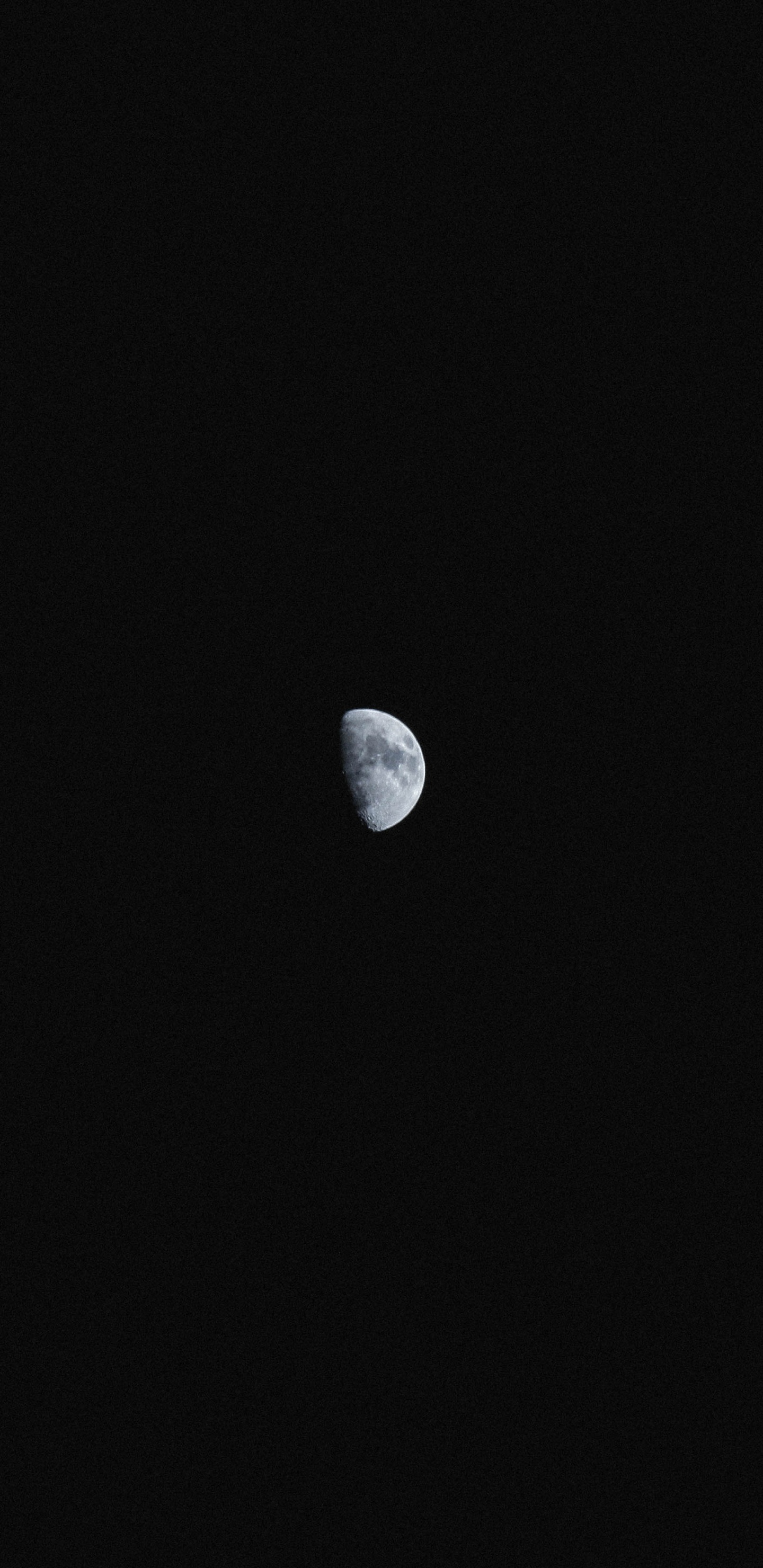 Pleine Lune Dans le Ciel. Wallpaper in 1440x2960 Resolution