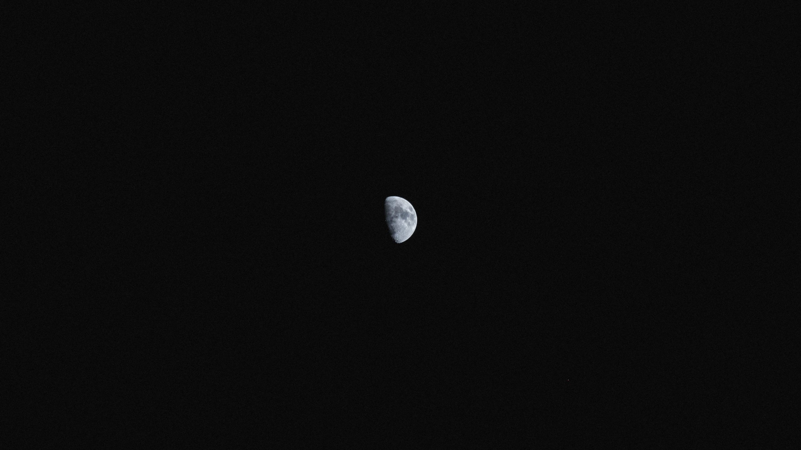 Pleine Lune Dans le Ciel. Wallpaper in 2560x1440 Resolution