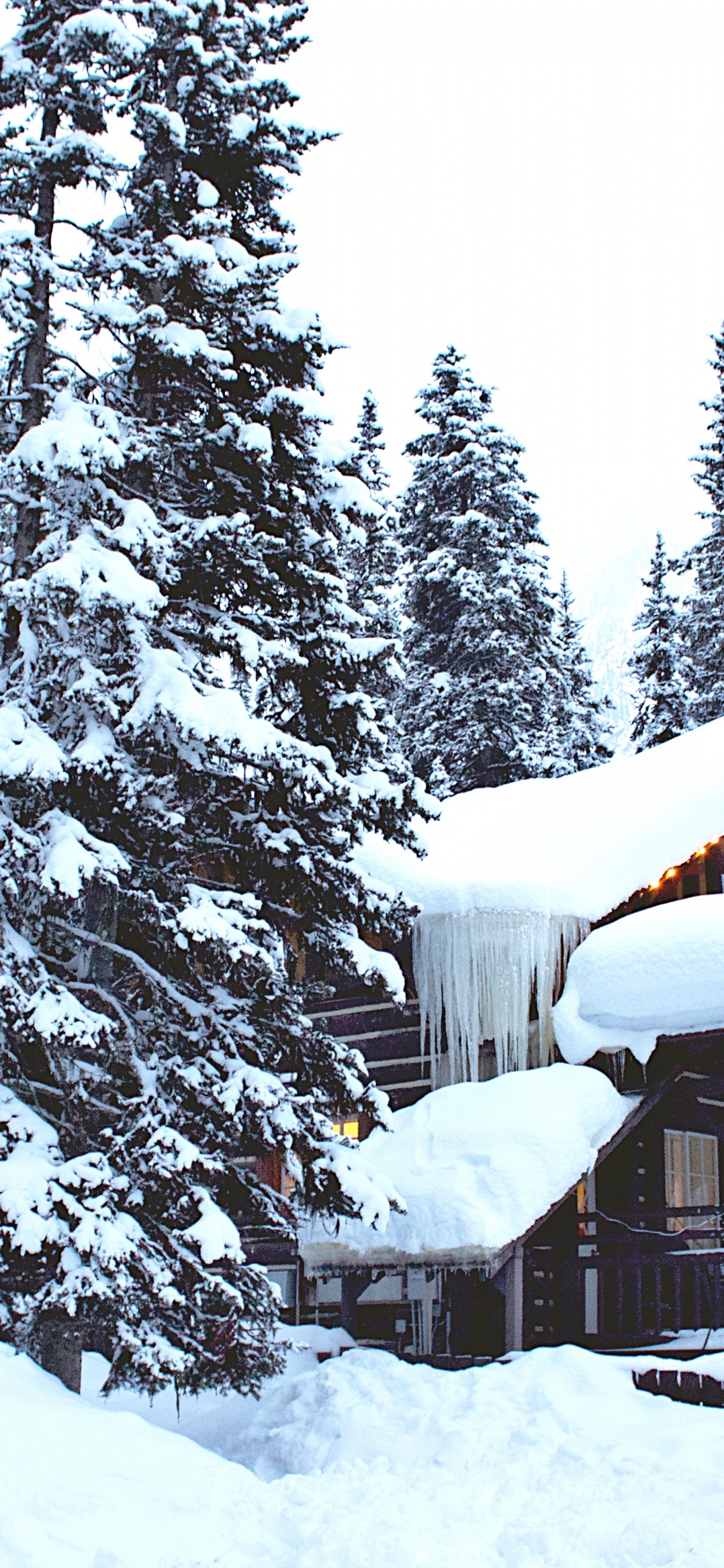 IOS, Hiver, Neige, Paysage Naturel, Pente. Wallpaper in 1242x2688 Resolution