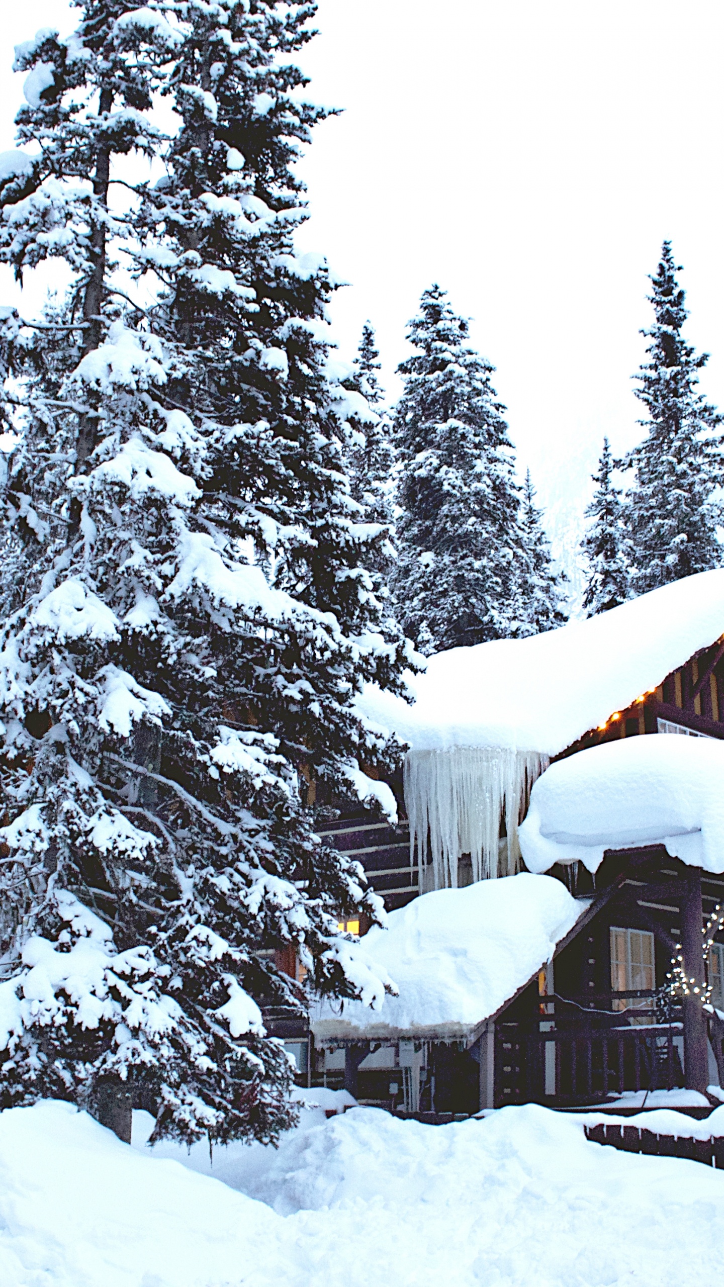 IOS, Hiver, Neige, Paysage Naturel, Pente. Wallpaper in 1440x2560 Resolution