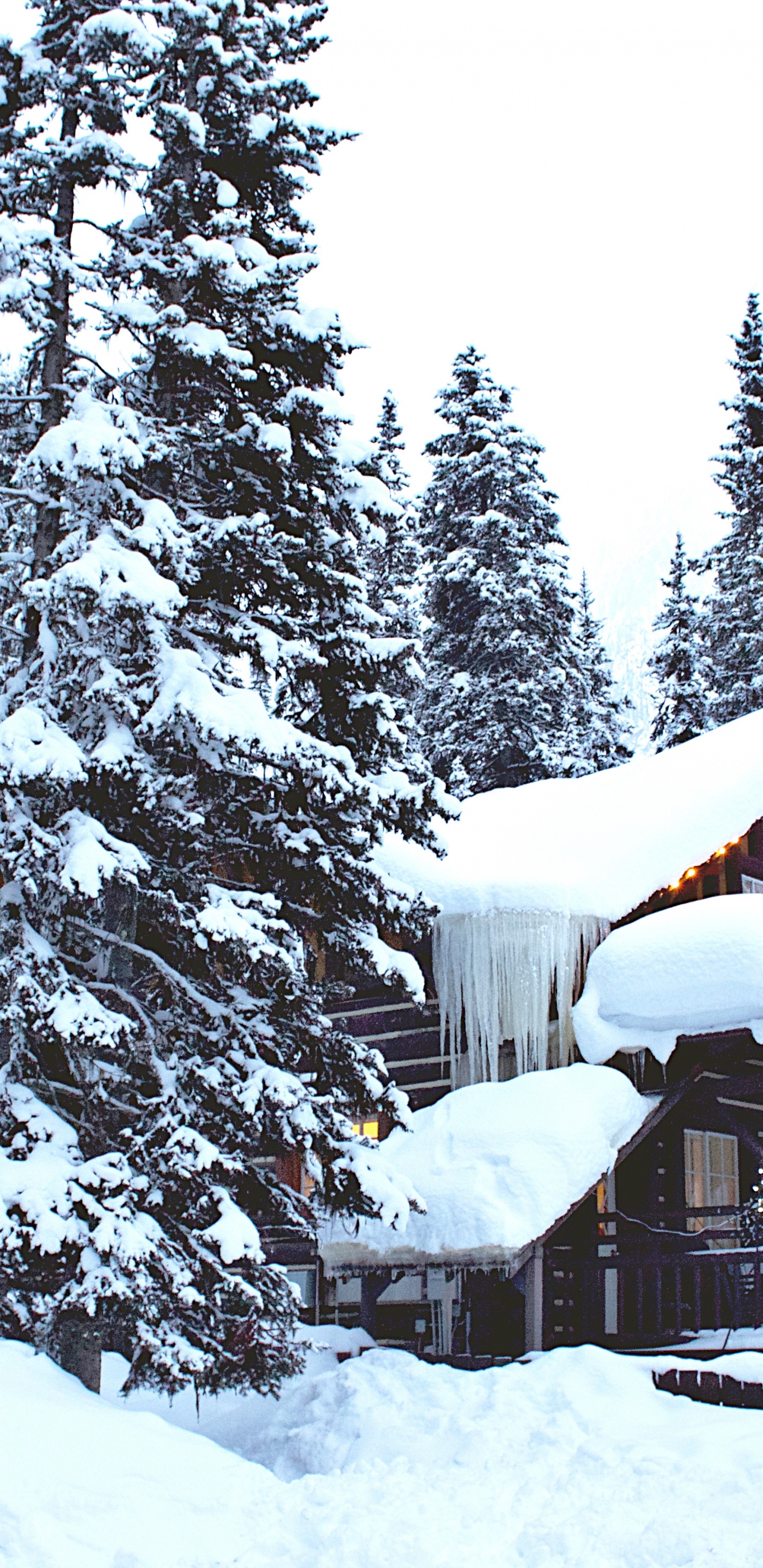 Ios, Invierno, Nieve, Paisaje Natural, Pendiente. Wallpaper in 1440x2960 Resolution