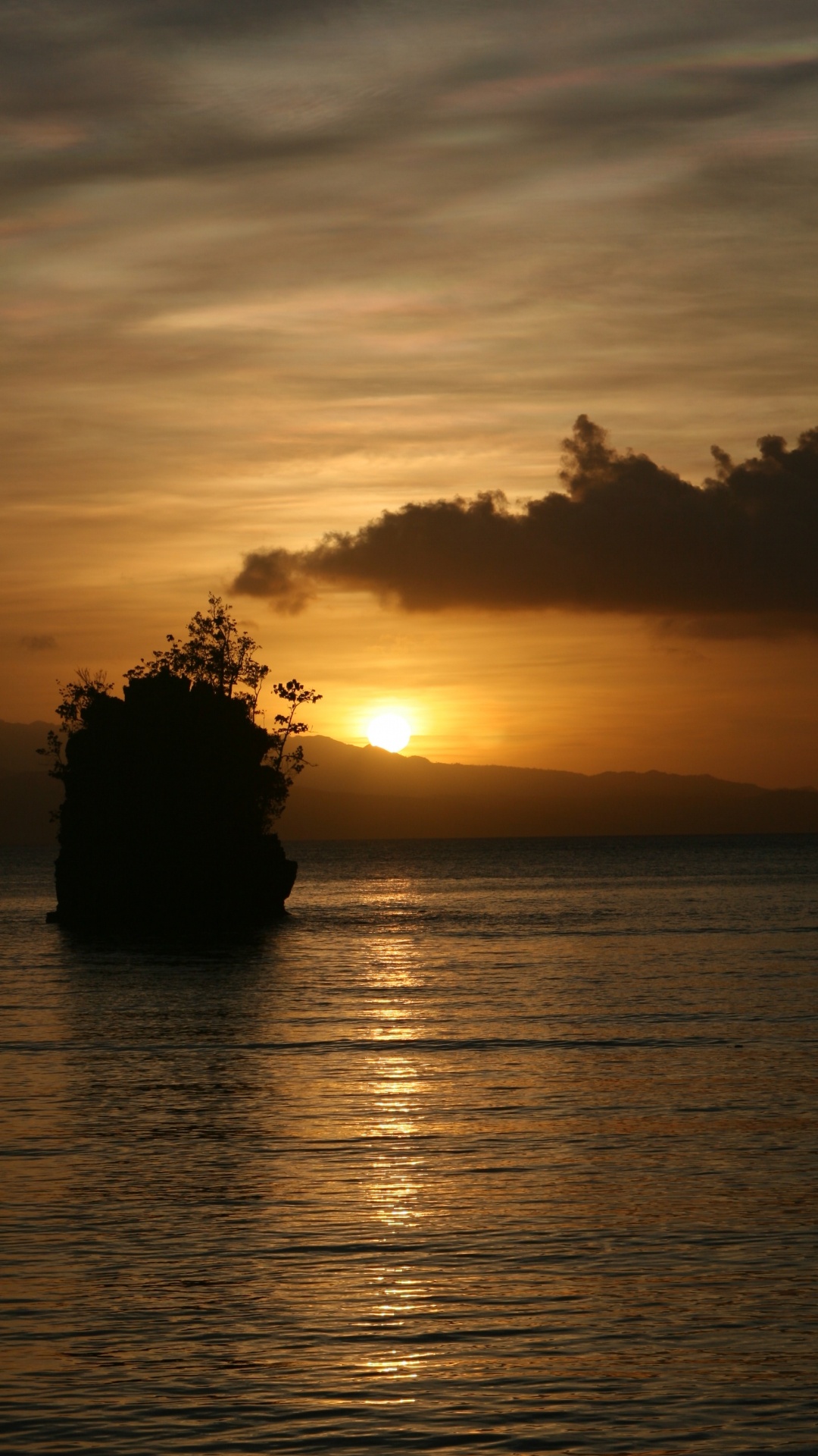 Baumsilhouette Bei Sonnenuntergang. Wallpaper in 1080x1920 Resolution