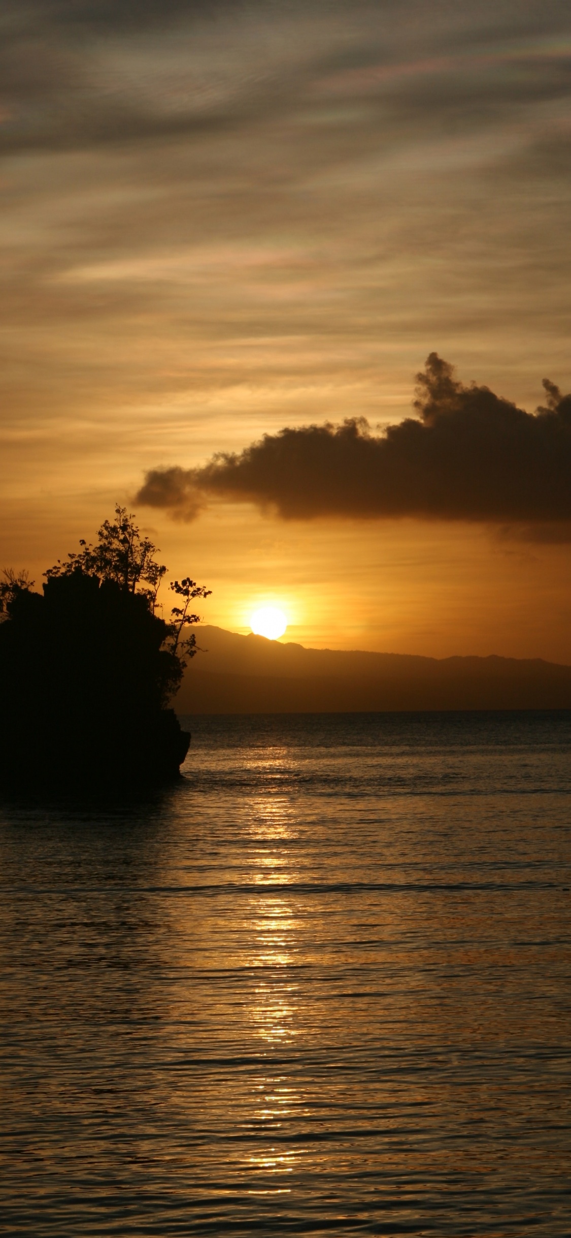 Silhouette D'arbre Pendant le Coucher du Soleil. Wallpaper in 1125x2436 Resolution