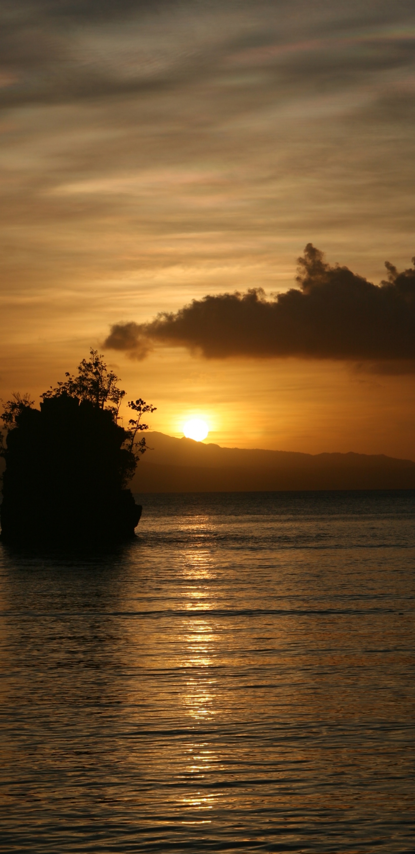 Silhouette D'arbre Pendant le Coucher du Soleil. Wallpaper in 1440x2960 Resolution