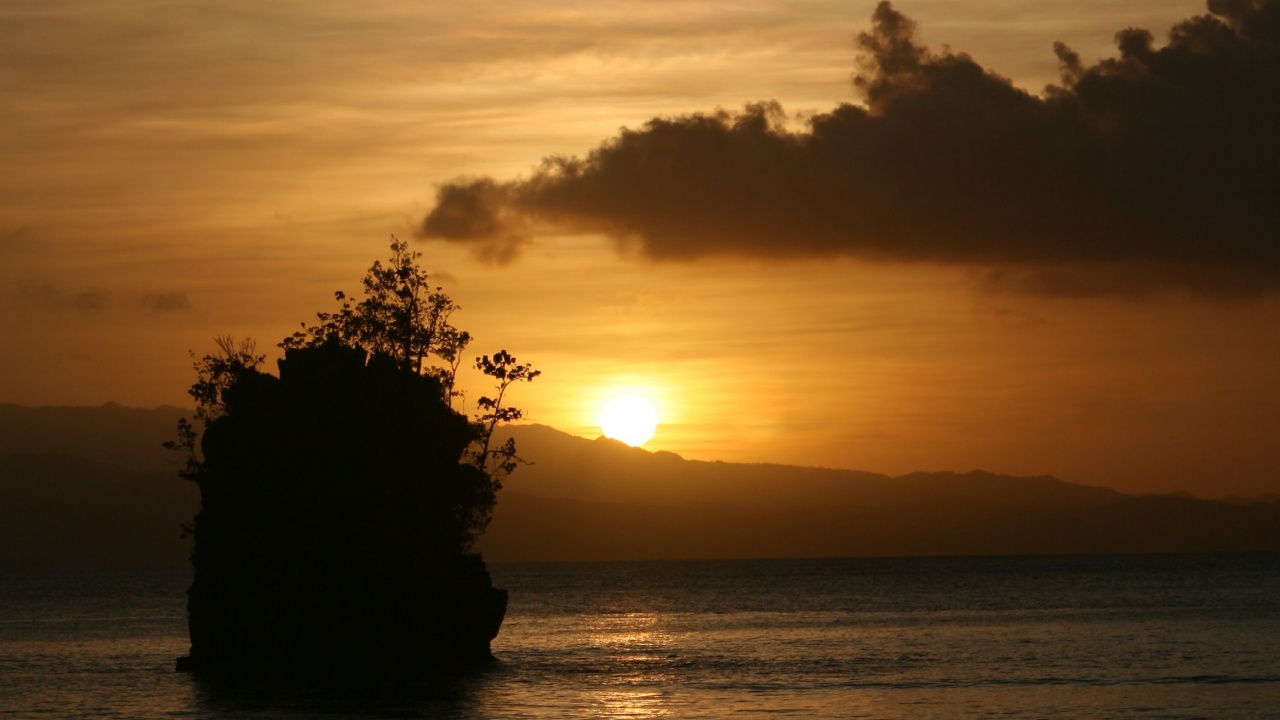 Silhouette of Tree During Sunset. Wallpaper in 1280x720 Resolution