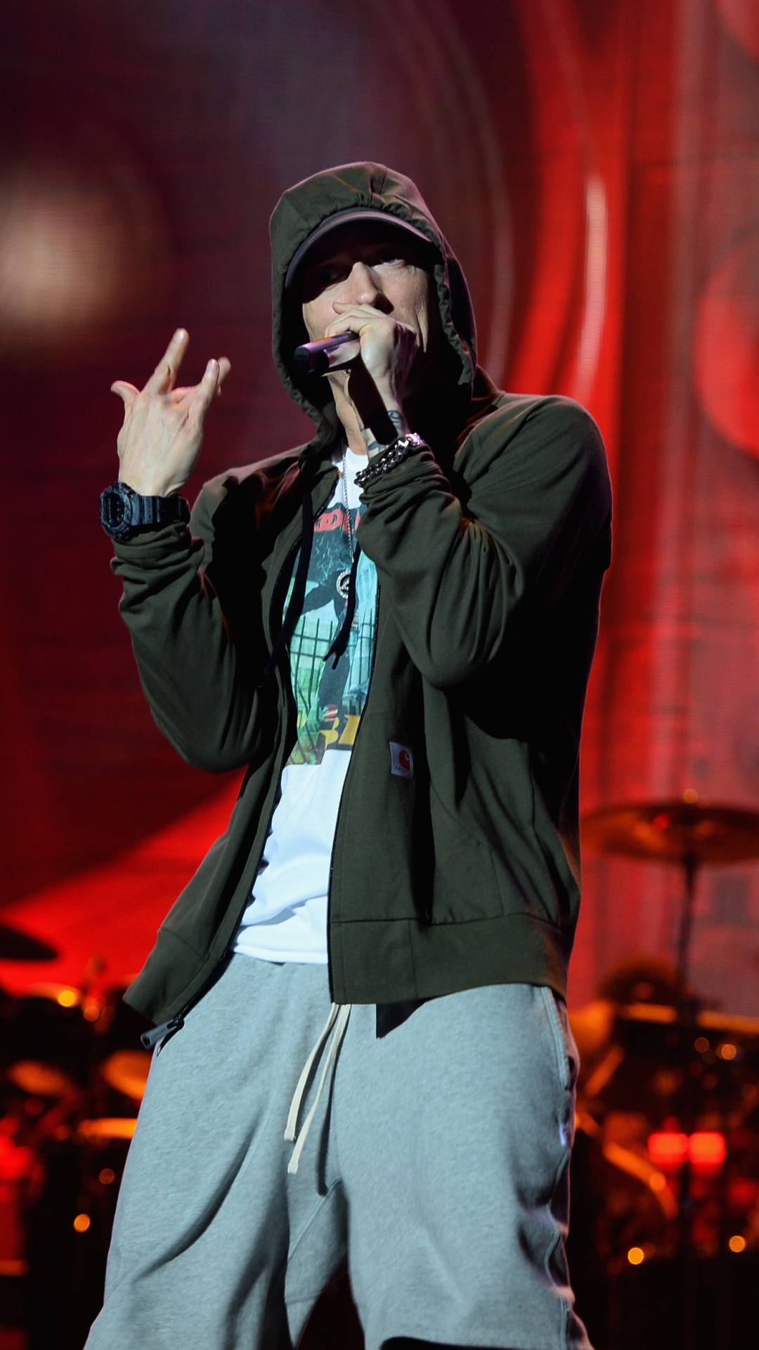 Concert, Performance, Entertainment, Music Artist, Music. Wallpaper in 1080x1920 Resolution