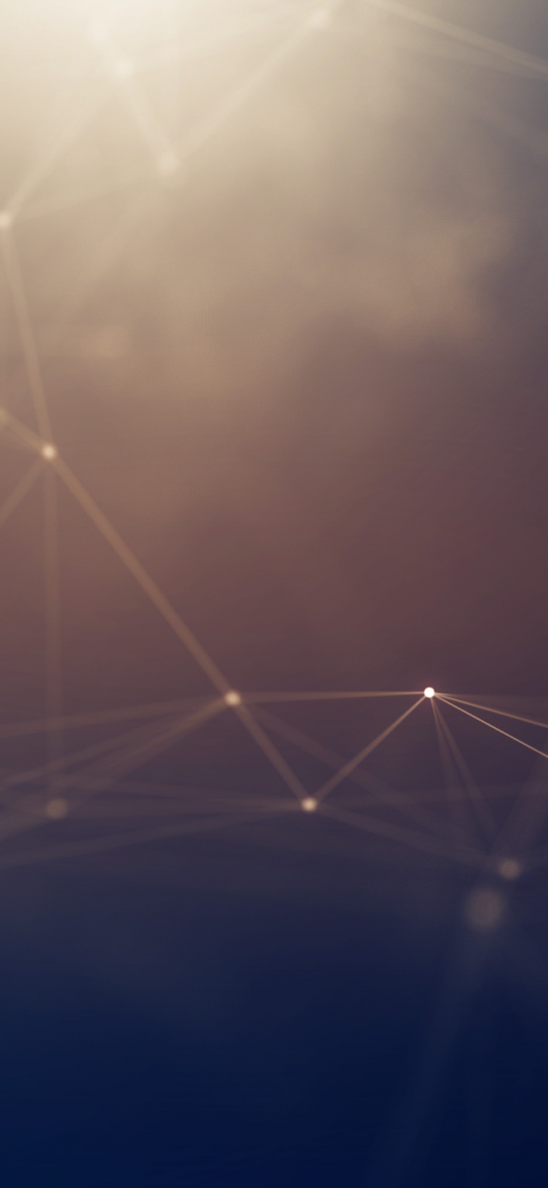 Toile D'araignée Blanche en Photographie Rapprochée. Wallpaper in 1125x2436 Resolution