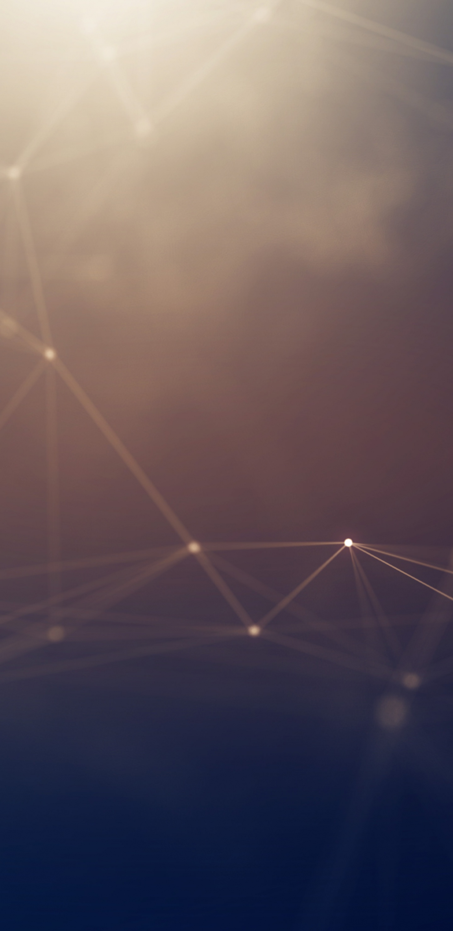 Toile D'araignée Blanche en Photographie Rapprochée. Wallpaper in 1440x2960 Resolution