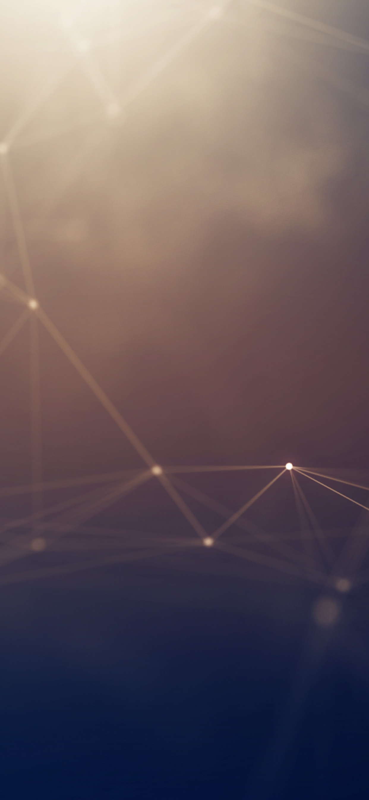 White Spider Web in Close up Photography. Wallpaper in 1242x2688 Resolution