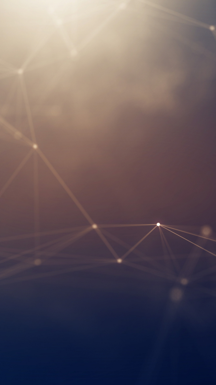 White Spider Web in Close up Photography. Wallpaper in 750x1334 Resolution