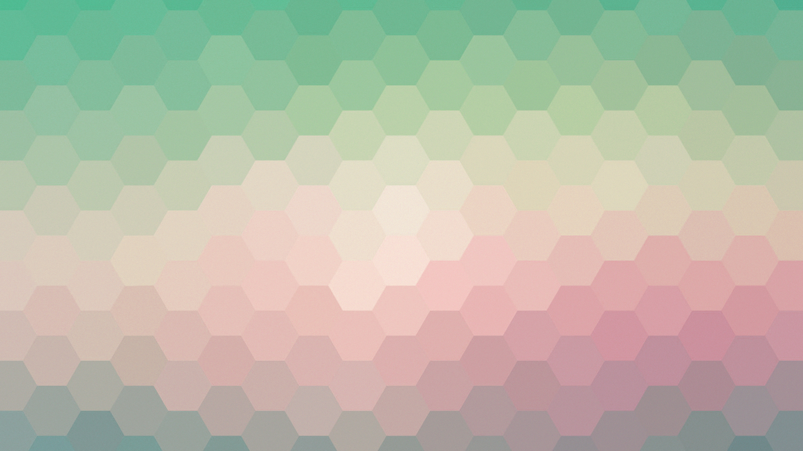 Green and Pink Color Illustration. Wallpaper in 2560x1440 Resolution