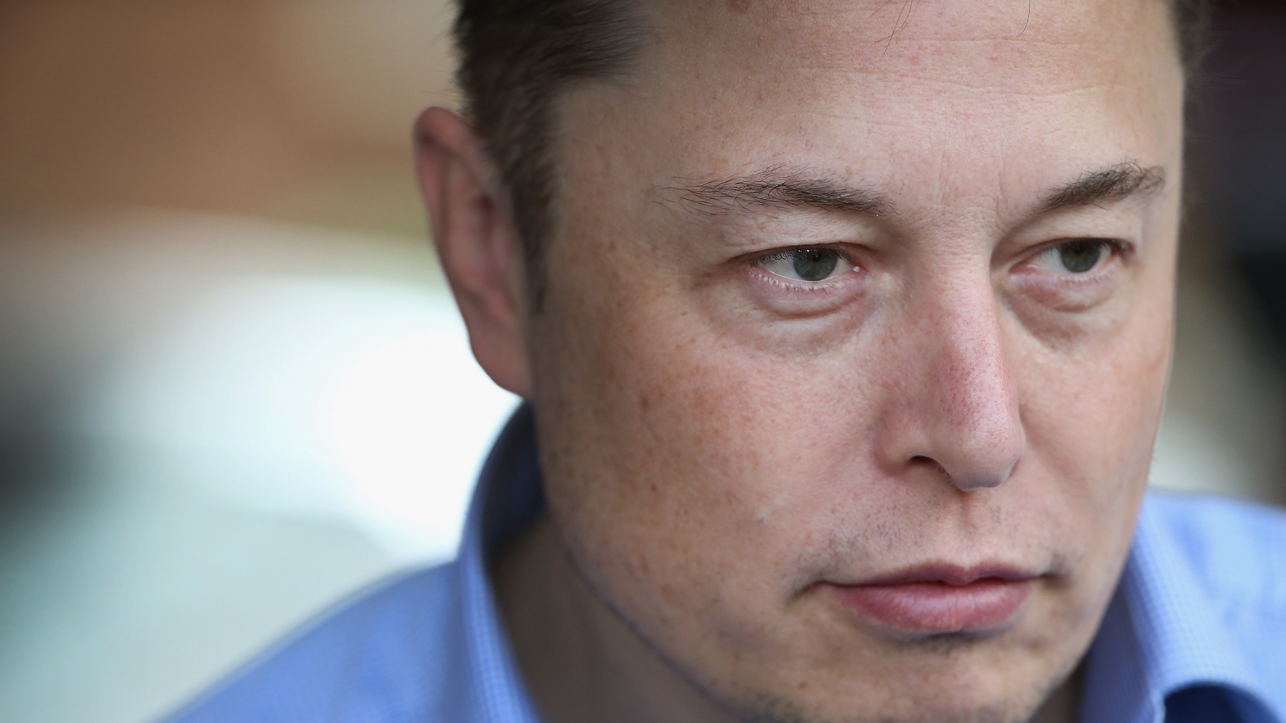 Elon Musk, Gesicht, Stirn, Nase, Kinn. Wallpaper in 2560x1440 Resolution