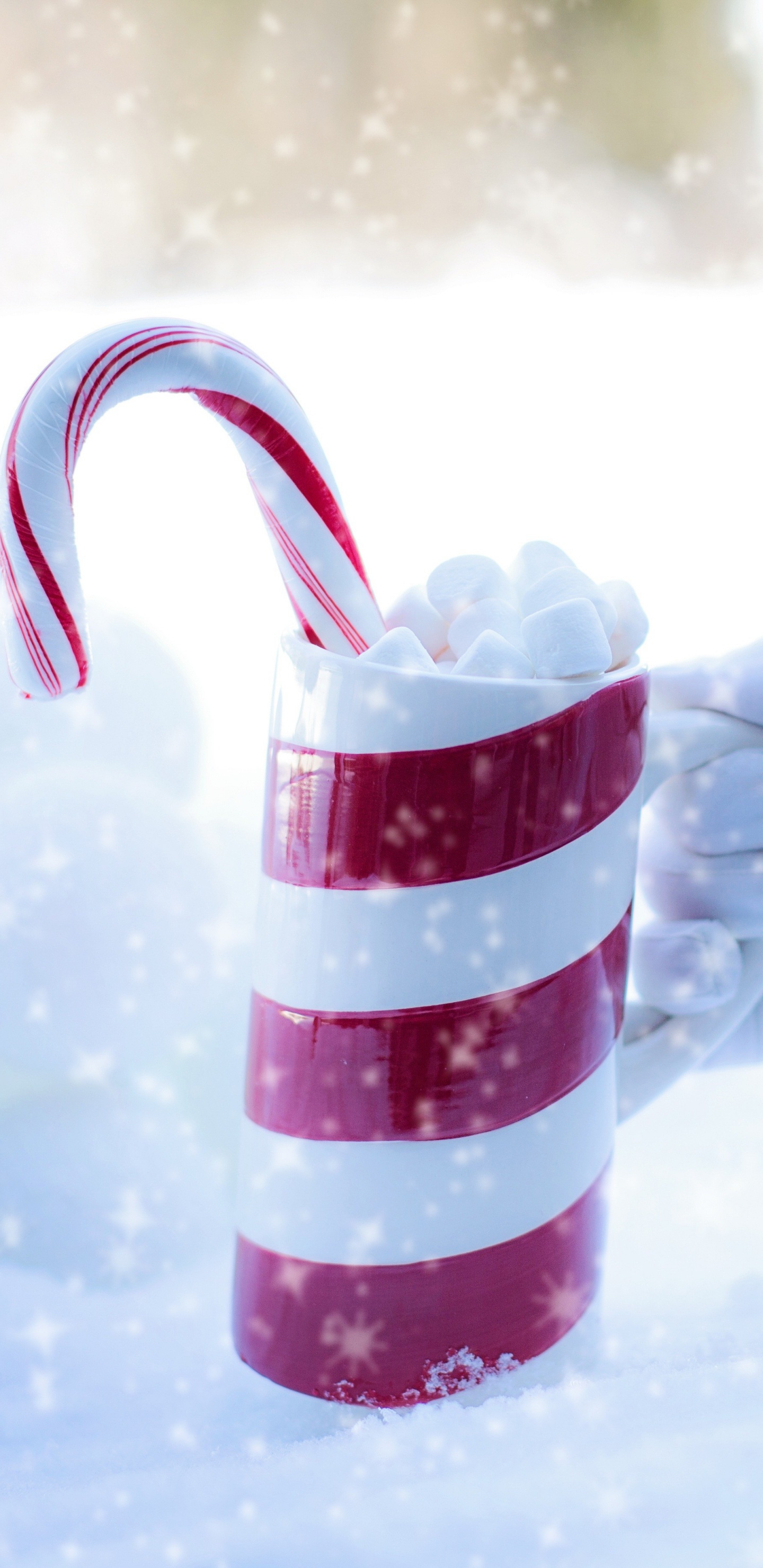 Candy Cane, Smartphone, Android, Drinkware, Polkagris. Wallpaper in 1440x2960 Resolution