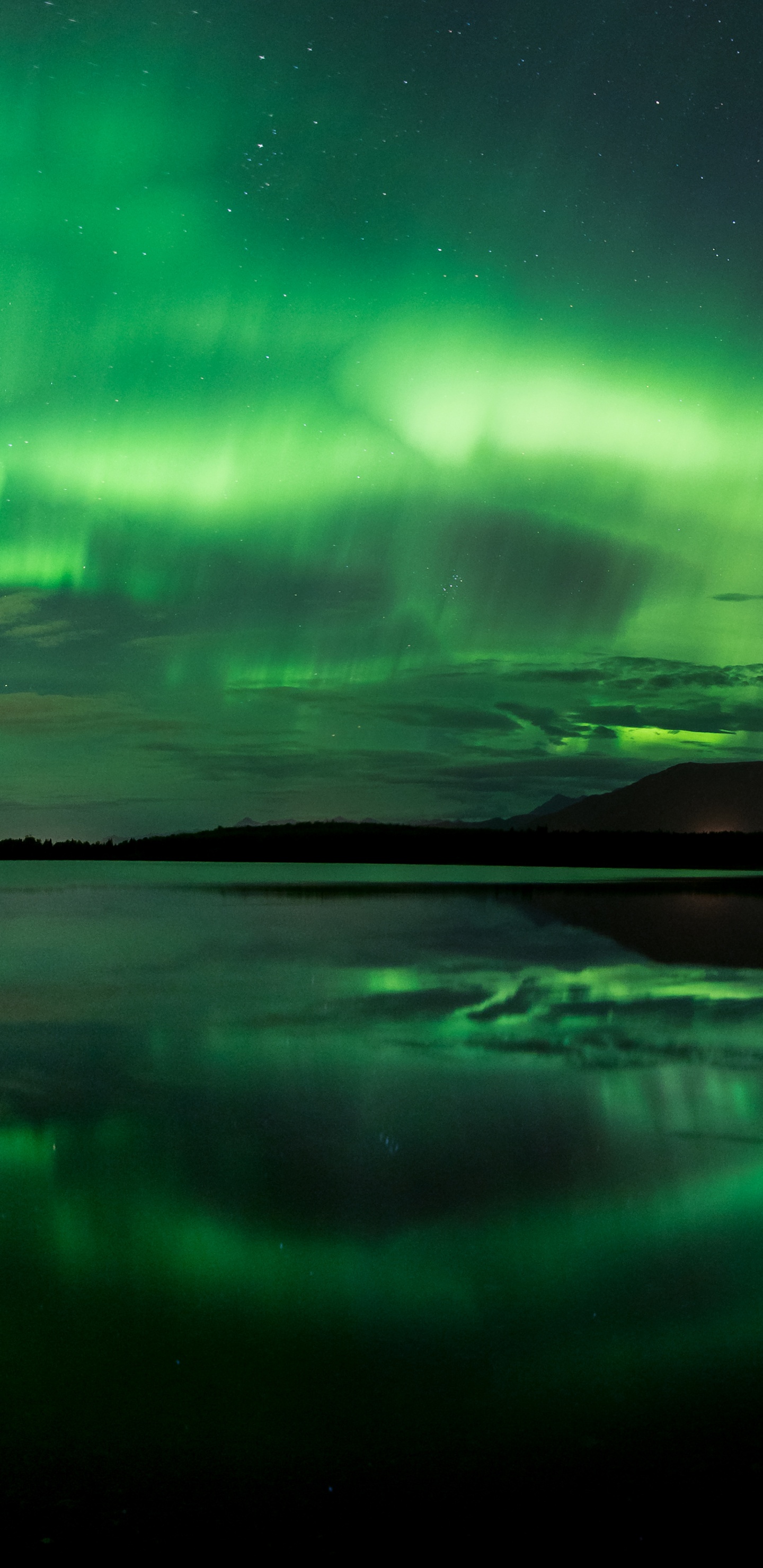 Papier Peint Numérique Clair Bleu et Violet. Wallpaper in 1440x2960 Resolution