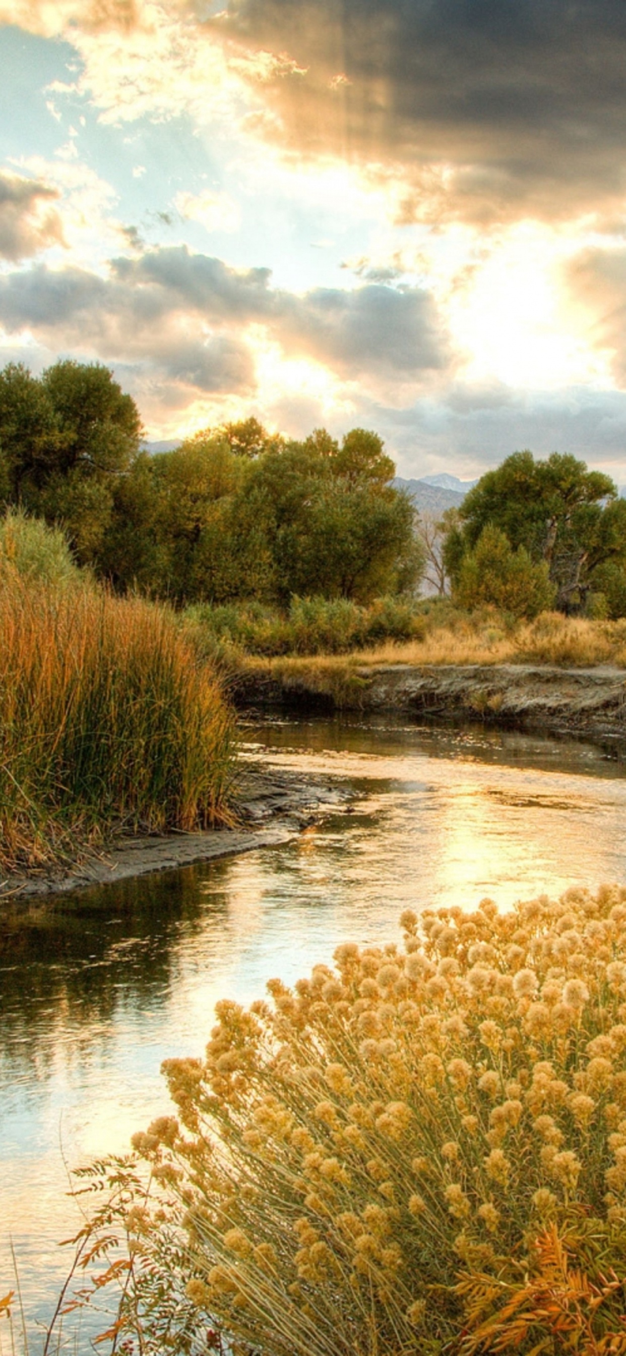 Río, Naturaleza, Paisaje Natural, Entorno Natural, la Reserva Natural De. Wallpaper in 1242x2688 Resolution