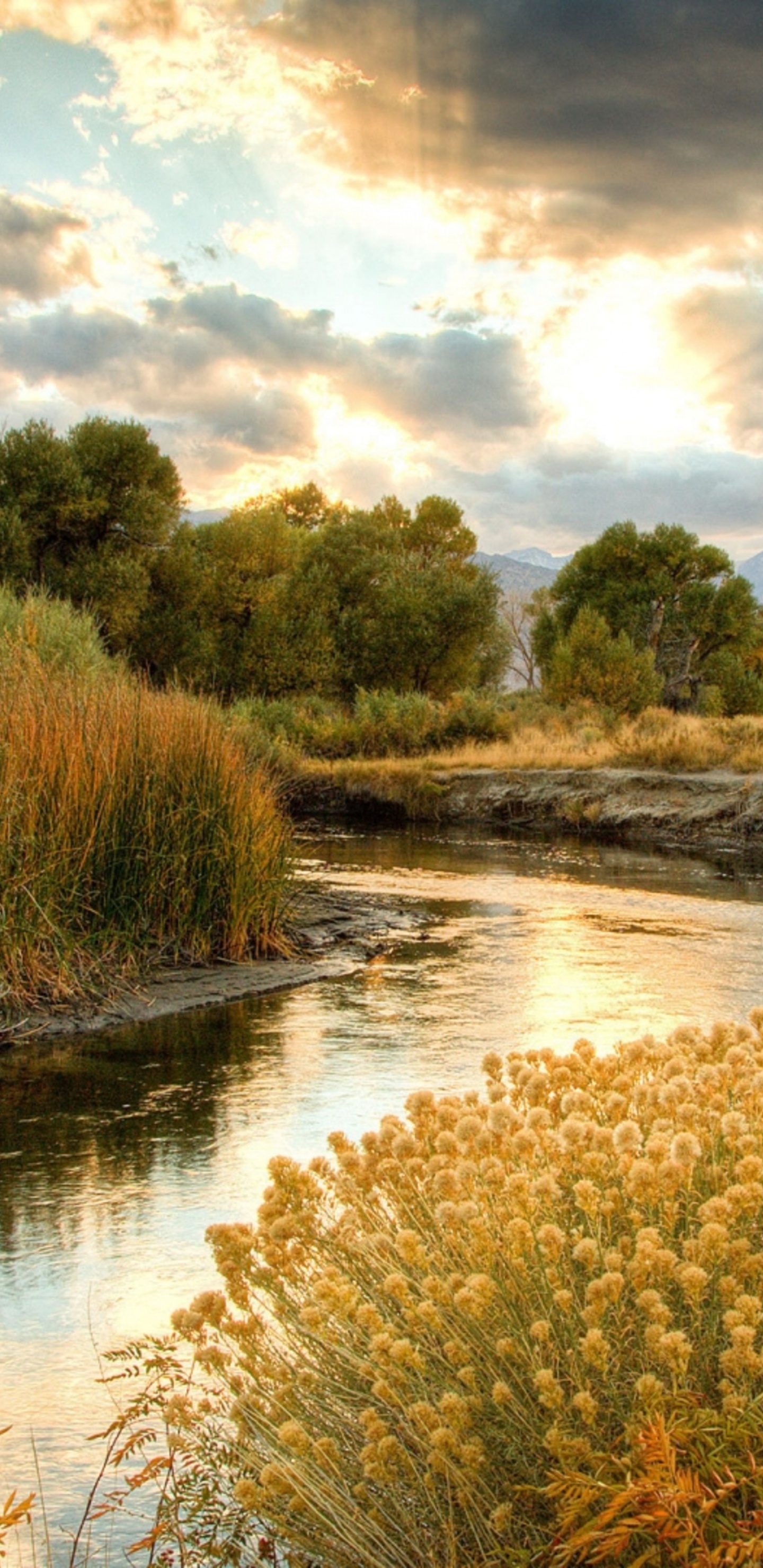 Fluss, Natur, Naturlandschaft, Natürlichen Umgebung, Bank. Wallpaper in 1440x2960 Resolution
