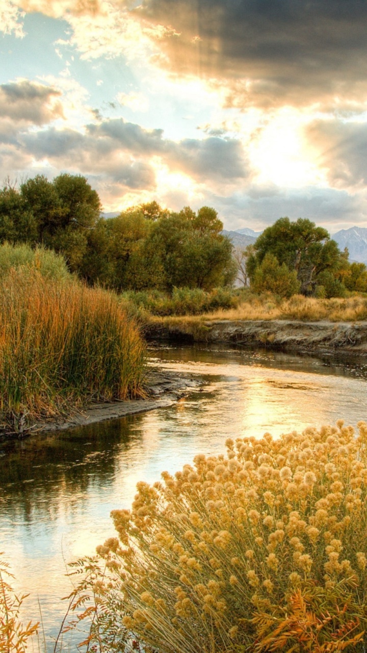 Fluss, Natur, Naturlandschaft, Natürlichen Umgebung, Bank. Wallpaper in 720x1280 Resolution