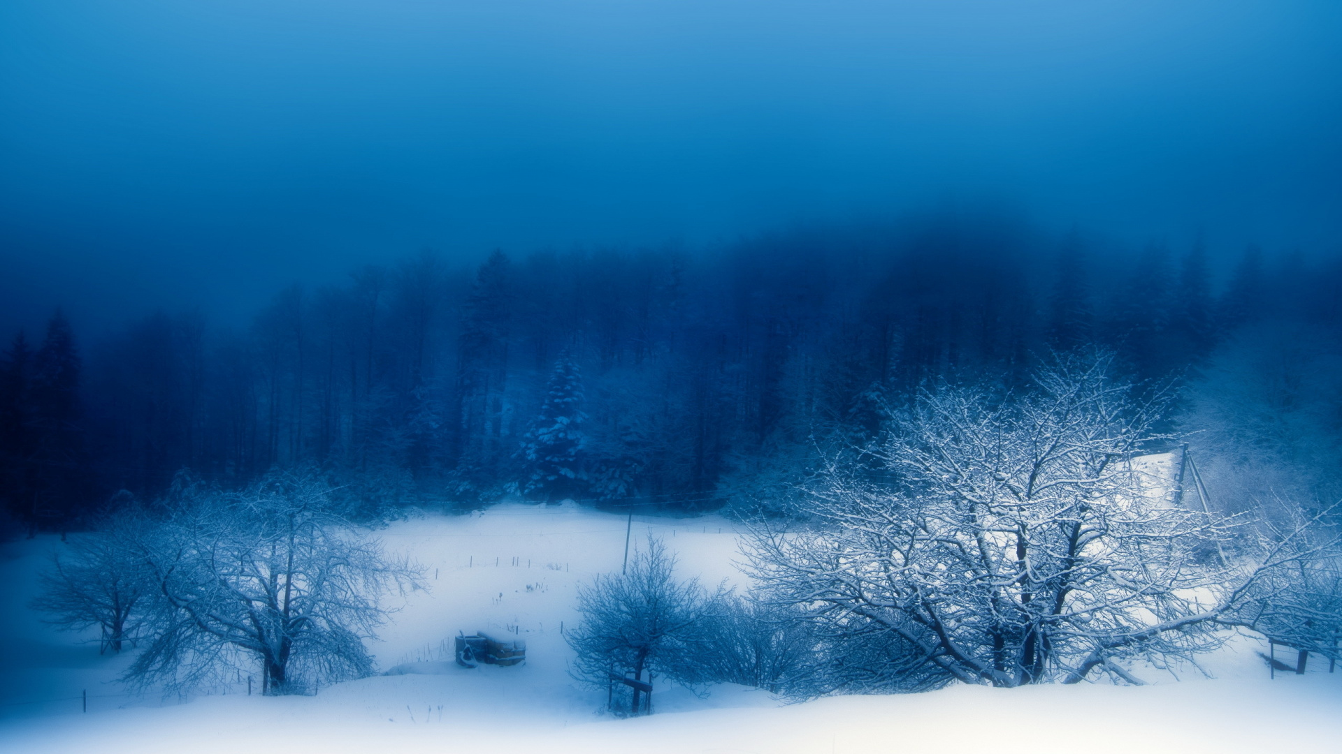 Snow Covered Trees During Daytime. Wallpaper in 1920x1080 Resolution