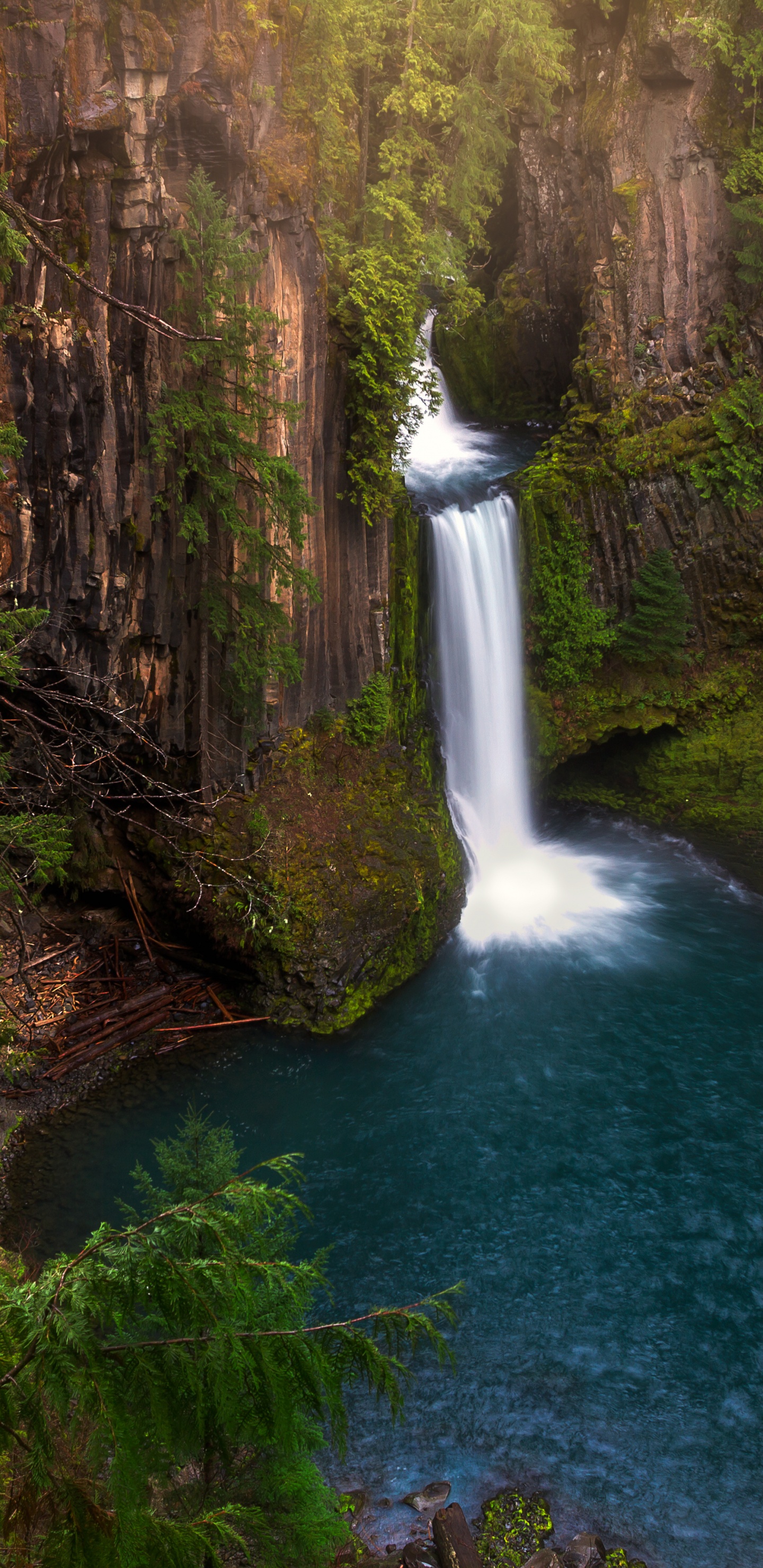 el Agua Cae en Medio Del Bosque. Wallpaper in 1440x2960 Resolution