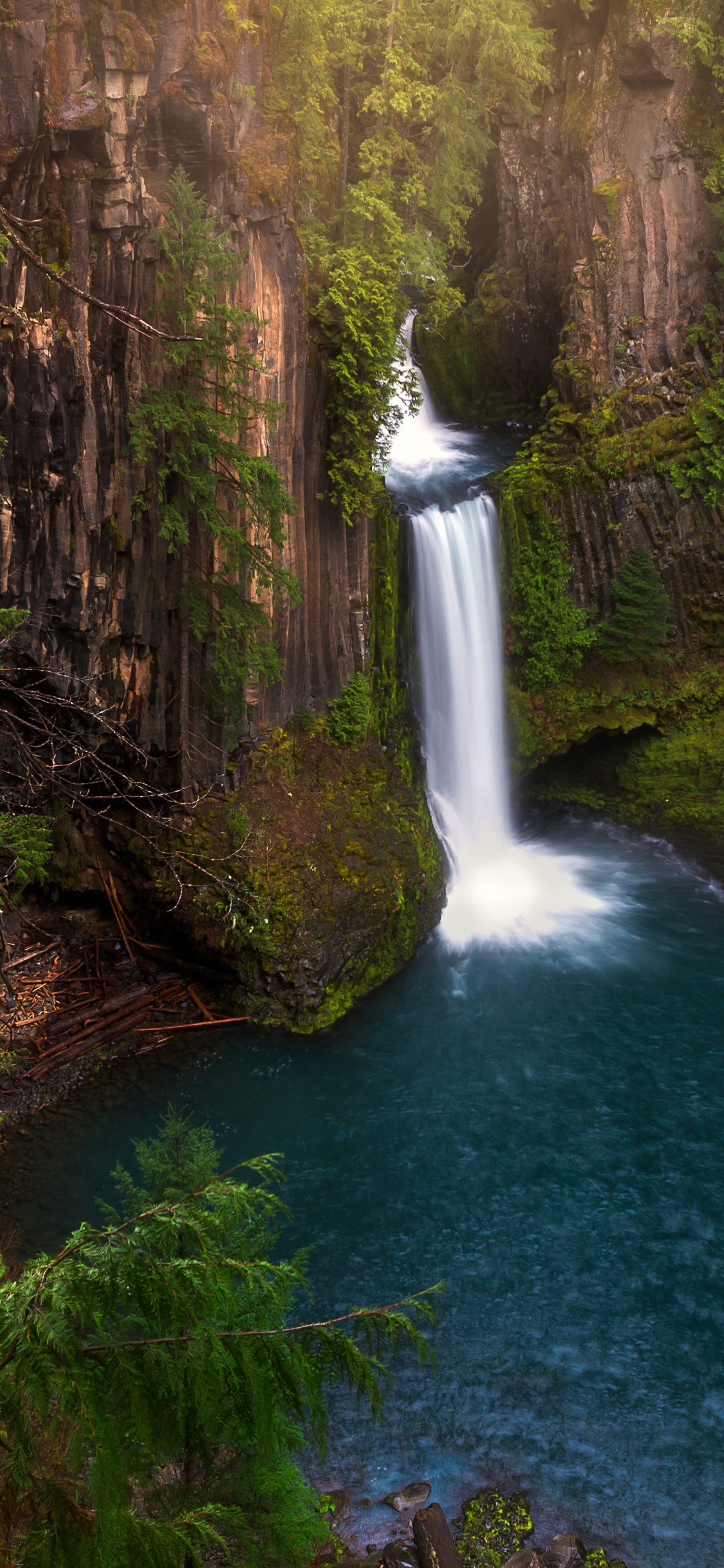 Water Falls in The Middle of The Forest. Wallpaper in 1125x2436 Resolution