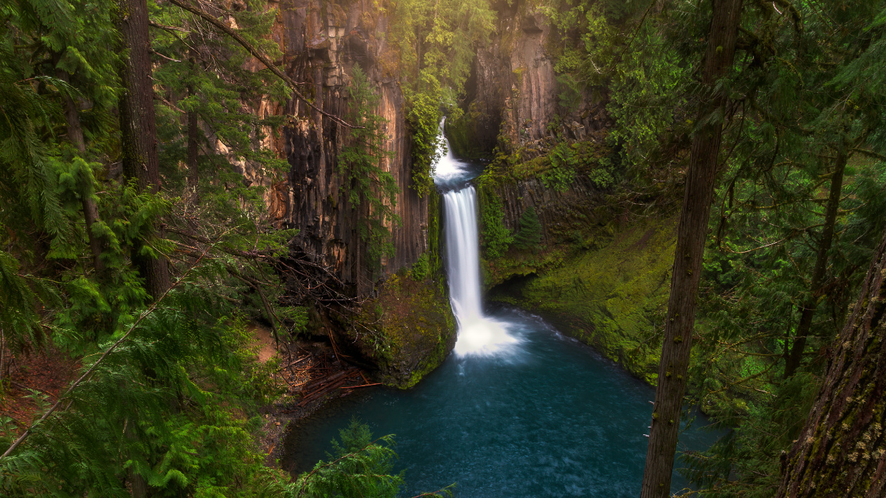 Water Falls in The Middle of The Forest. Wallpaper in 1280x720 Resolution