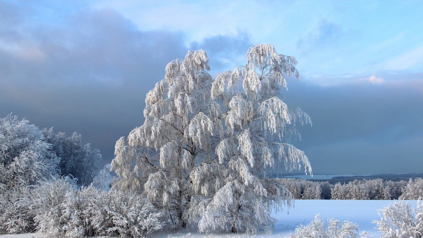 Formation Rocheuse Blanche et Brune Sous Des Nuages Blancs Pendant la Journée. Wallpaper in 1366x768 Resolution
