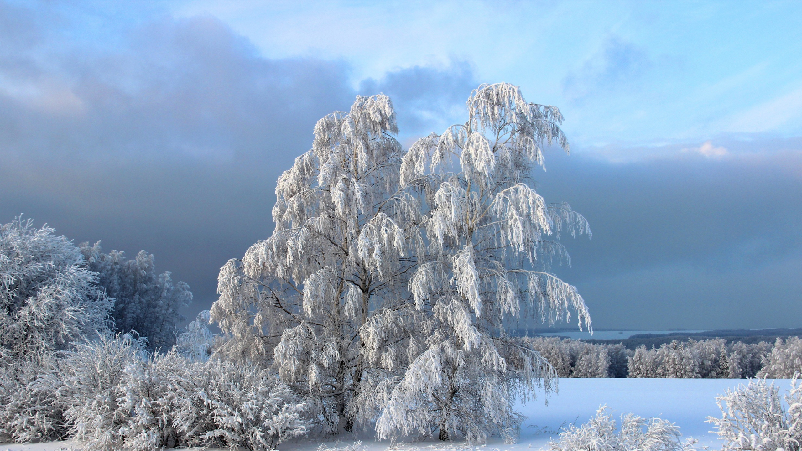 Formation Rocheuse Blanche et Brune Sous Des Nuages Blancs Pendant la Journée. Wallpaper in 2560x1440 Resolution