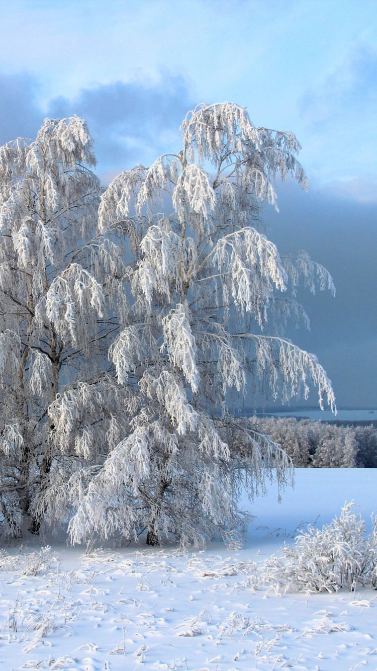 White and Brown Rock Formation Under White Clouds During Daytime. Wallpaper in 750x1334 Resolution