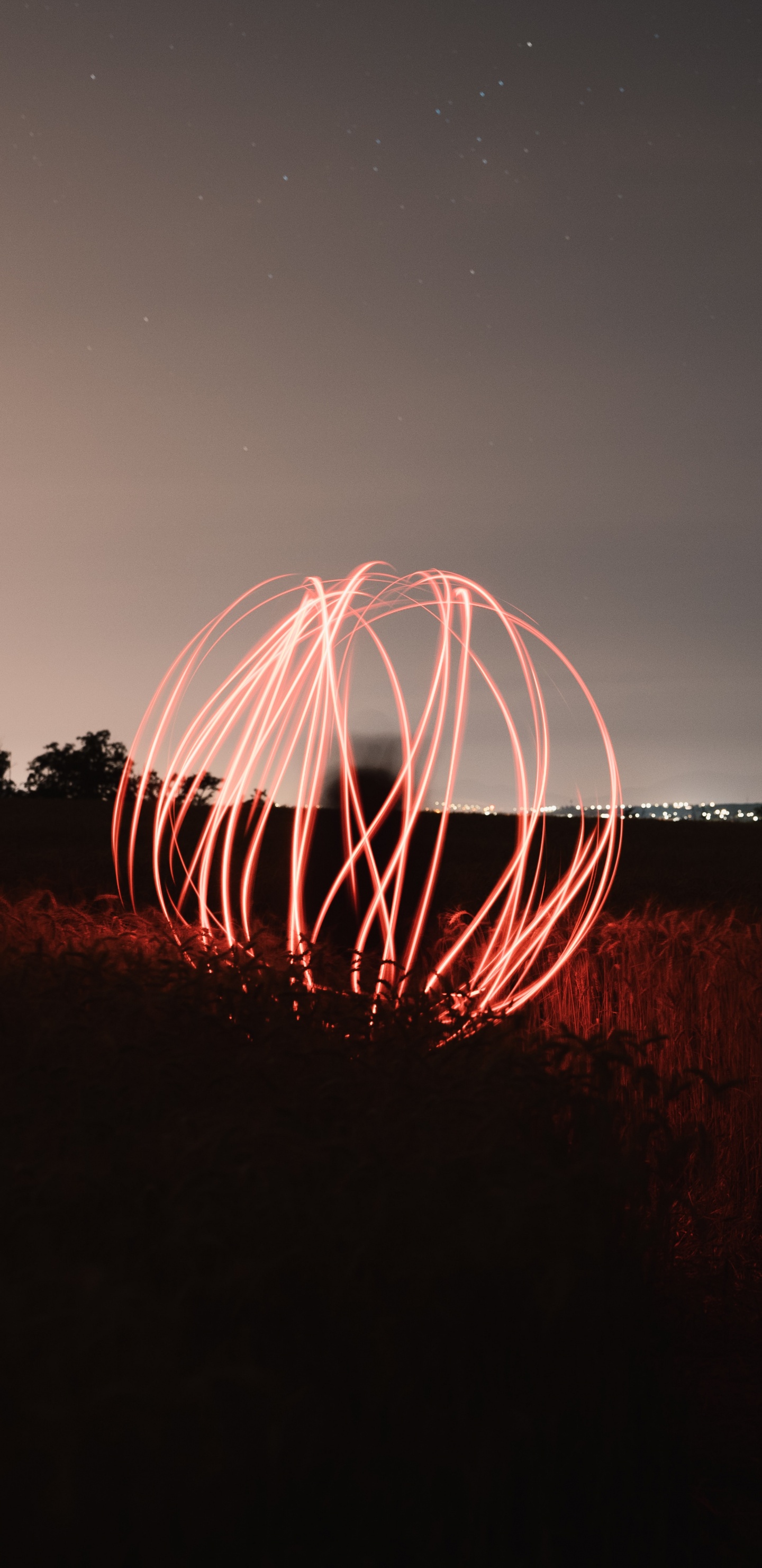 光, 地平线, 天空 壁纸 1440x2960 允许