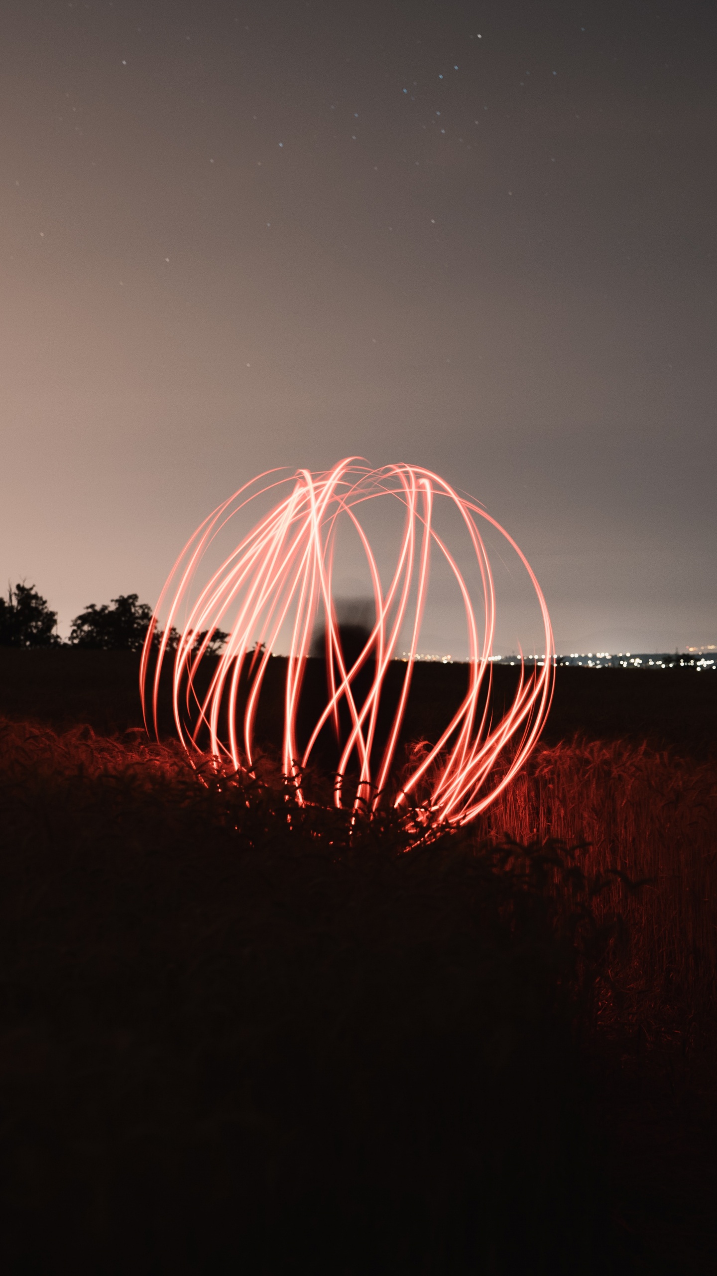 Silhouette of Trees Under Purple Sky. Wallpaper in 1440x2560 Resolution