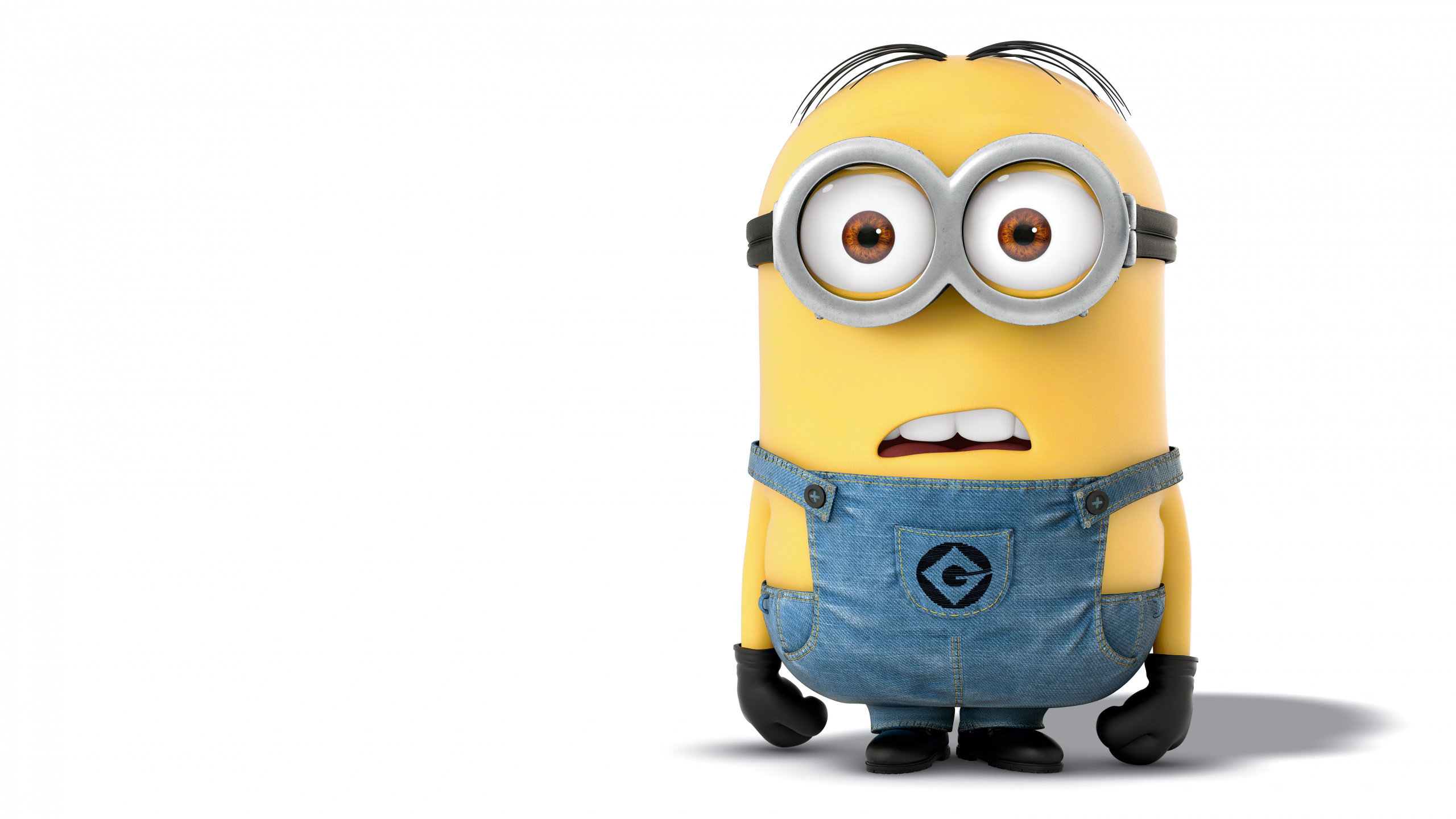 Minions Wearing Blue Denim Jeans. Wallpaper in 2560x1440 Resolution