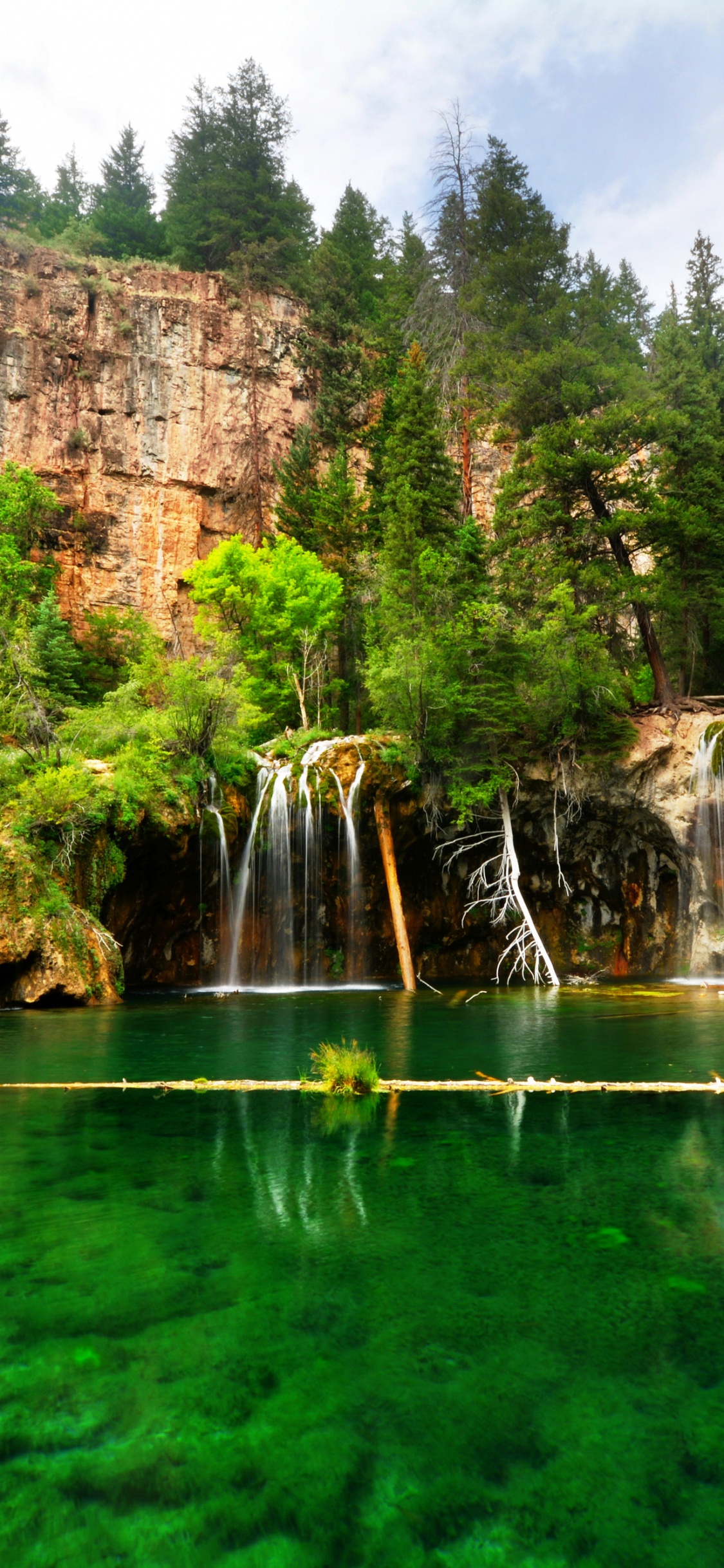 Green Trees Near Body of Water During Daytime. Wallpaper in 1125x2436 Resolution