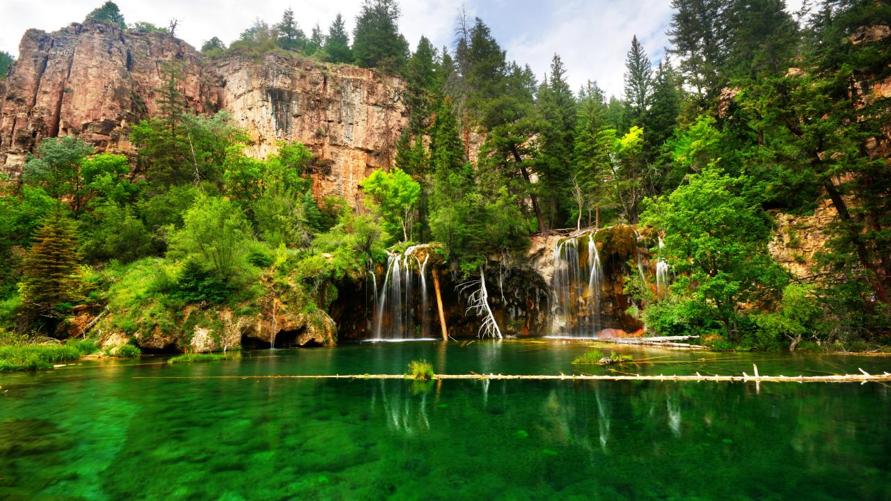 Green Trees Near Body of Water During Daytime. Wallpaper in 1280x720 Resolution