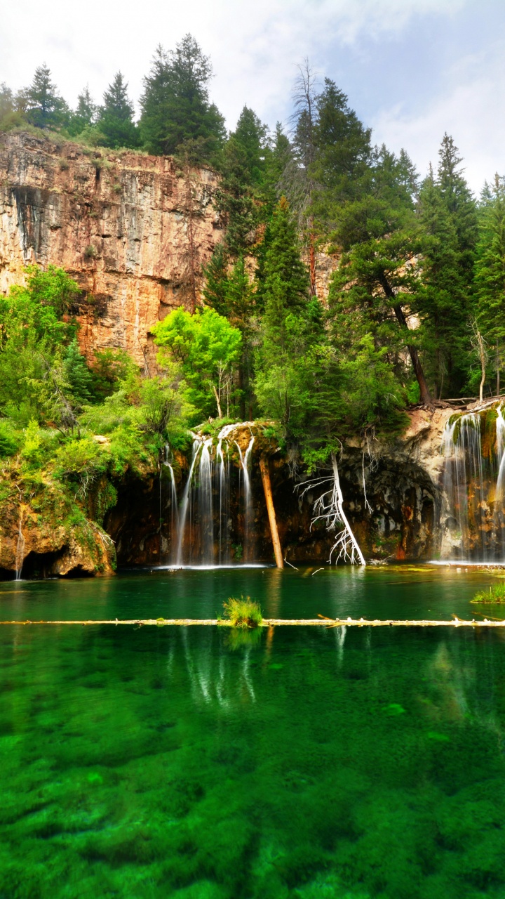 Green Trees Near Body of Water During Daytime. Wallpaper in 720x1280 Resolution