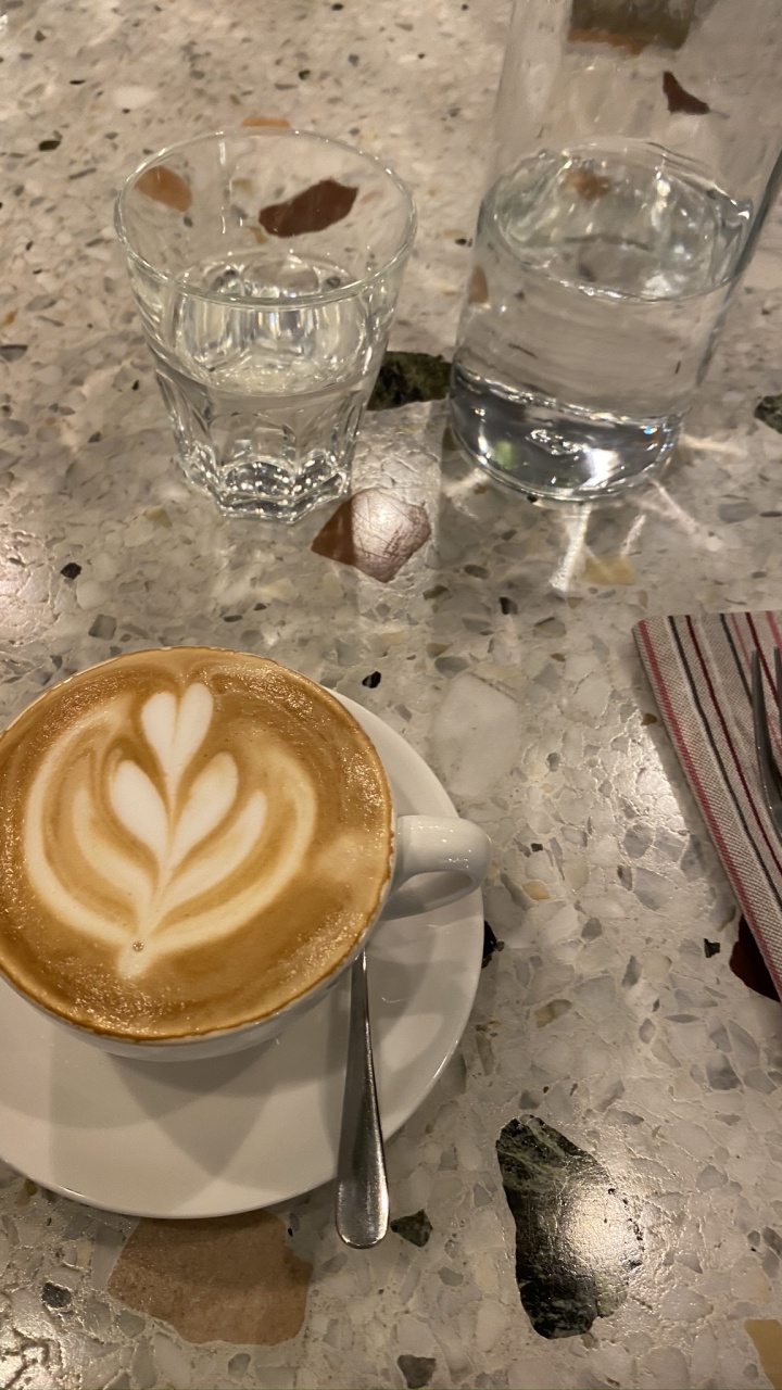 Cappuccino, Wiener Melange, Caff Macchiato, Cortado, Plat Blanc. Wallpaper in 720x1280 Resolution