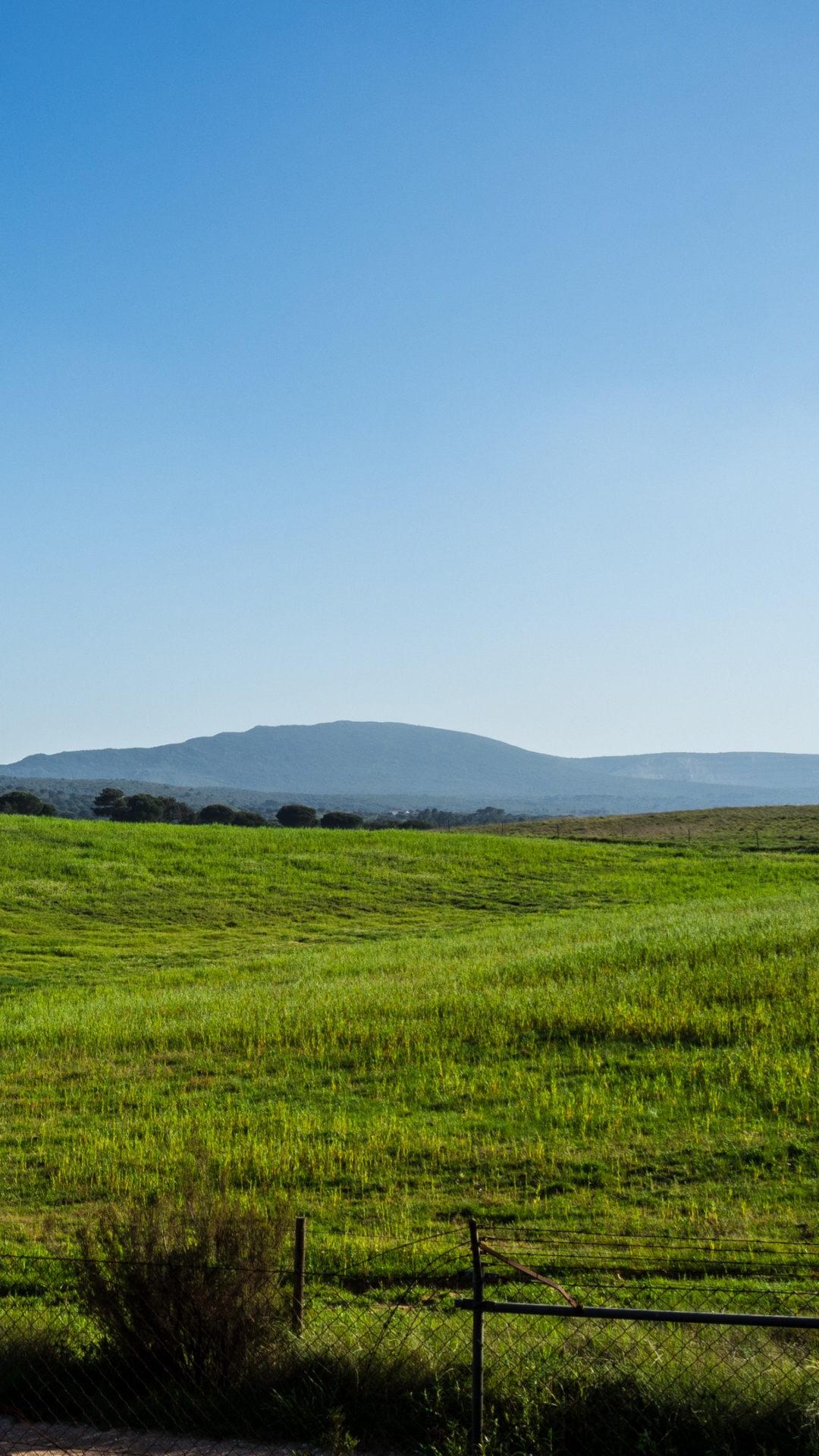 Green Grass Field Under Blue Sky During Daytime. Wallpaper in 1080x1920 Resolution