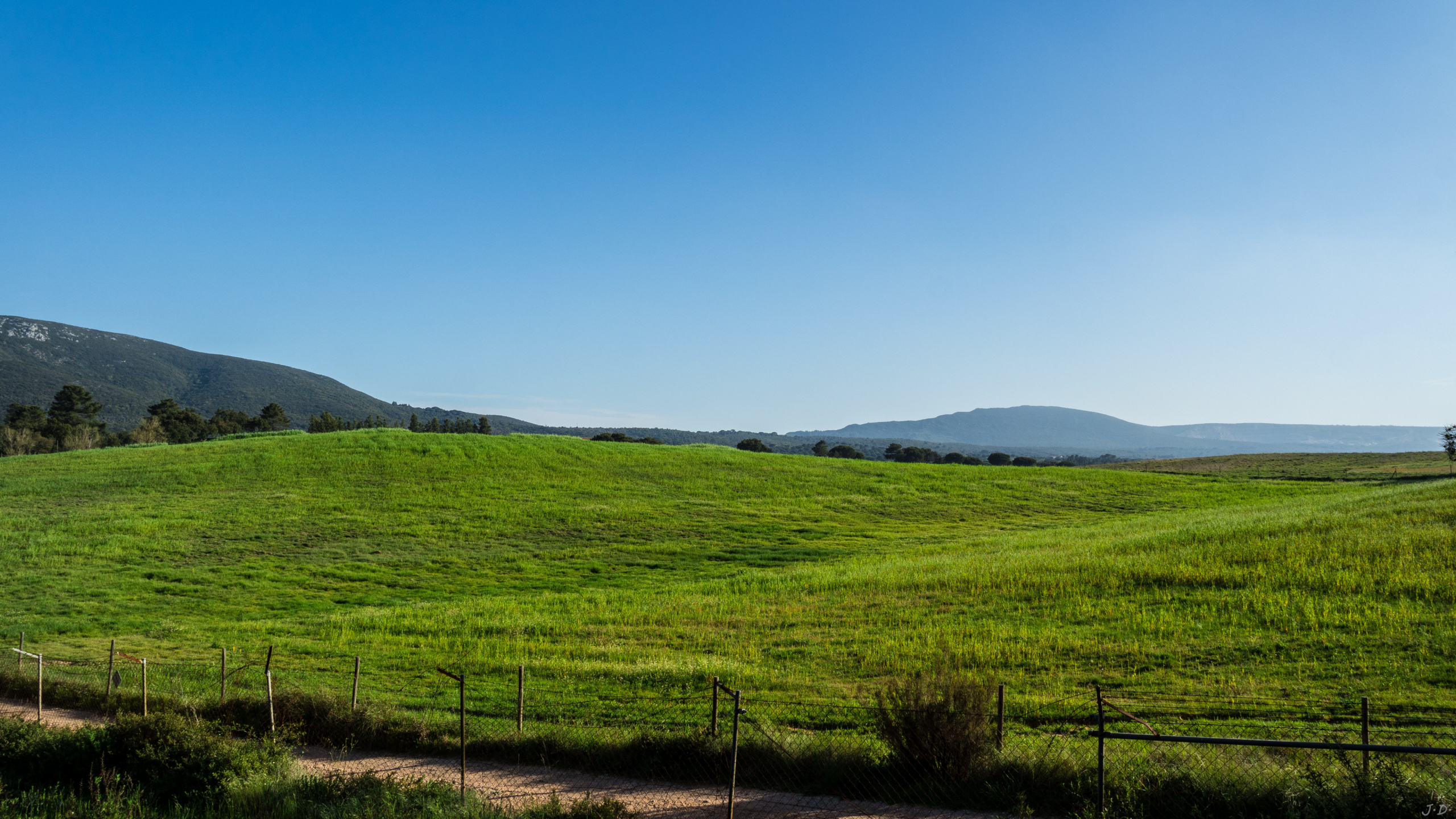 Green Grass Field Under Blue Sky During Daytime. Wallpaper in 2560x1440 Resolution