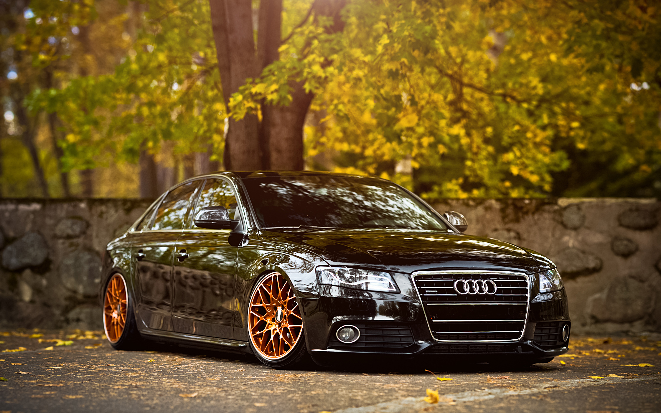 520+ Audi HD Wallpapers and Backgrounds