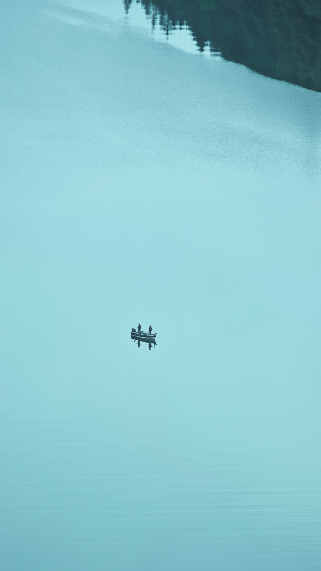 Avion Survolant la Mer Pendant la Journée. Wallpaper in 1080x1920 Resolution