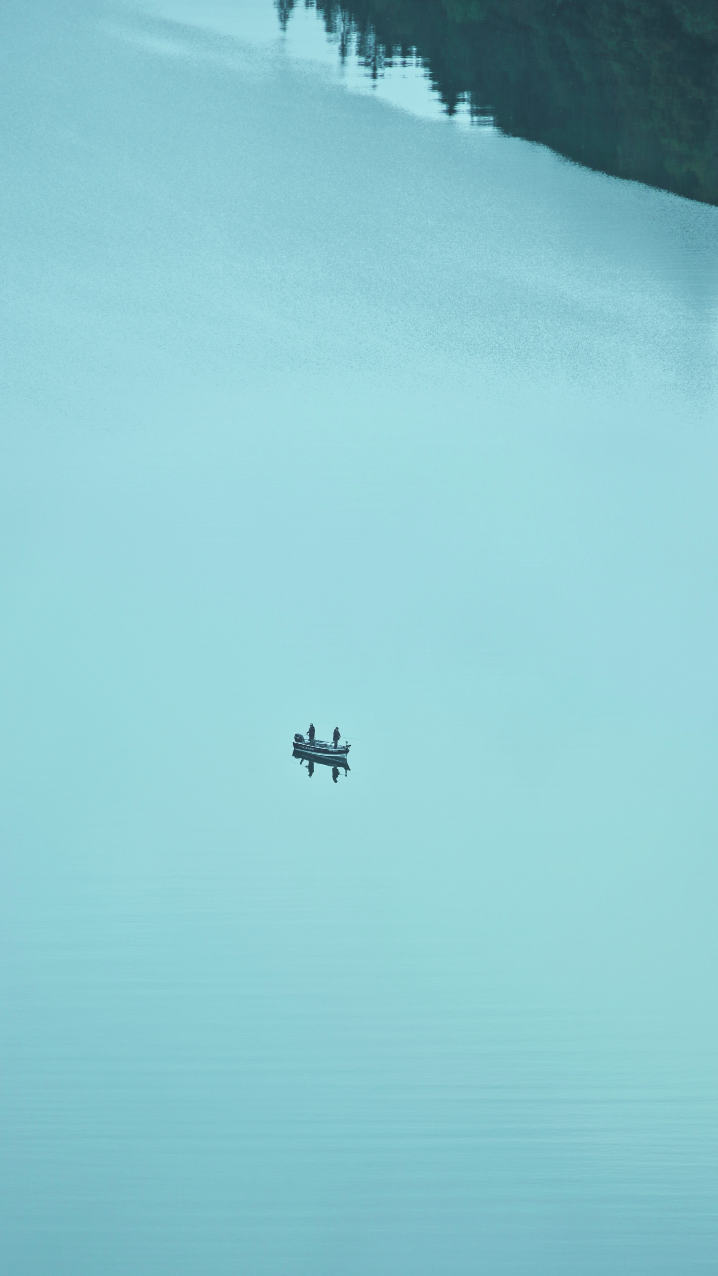 Avion Survolant la Mer Pendant la Journée. Wallpaper in 1440x2560 Resolution